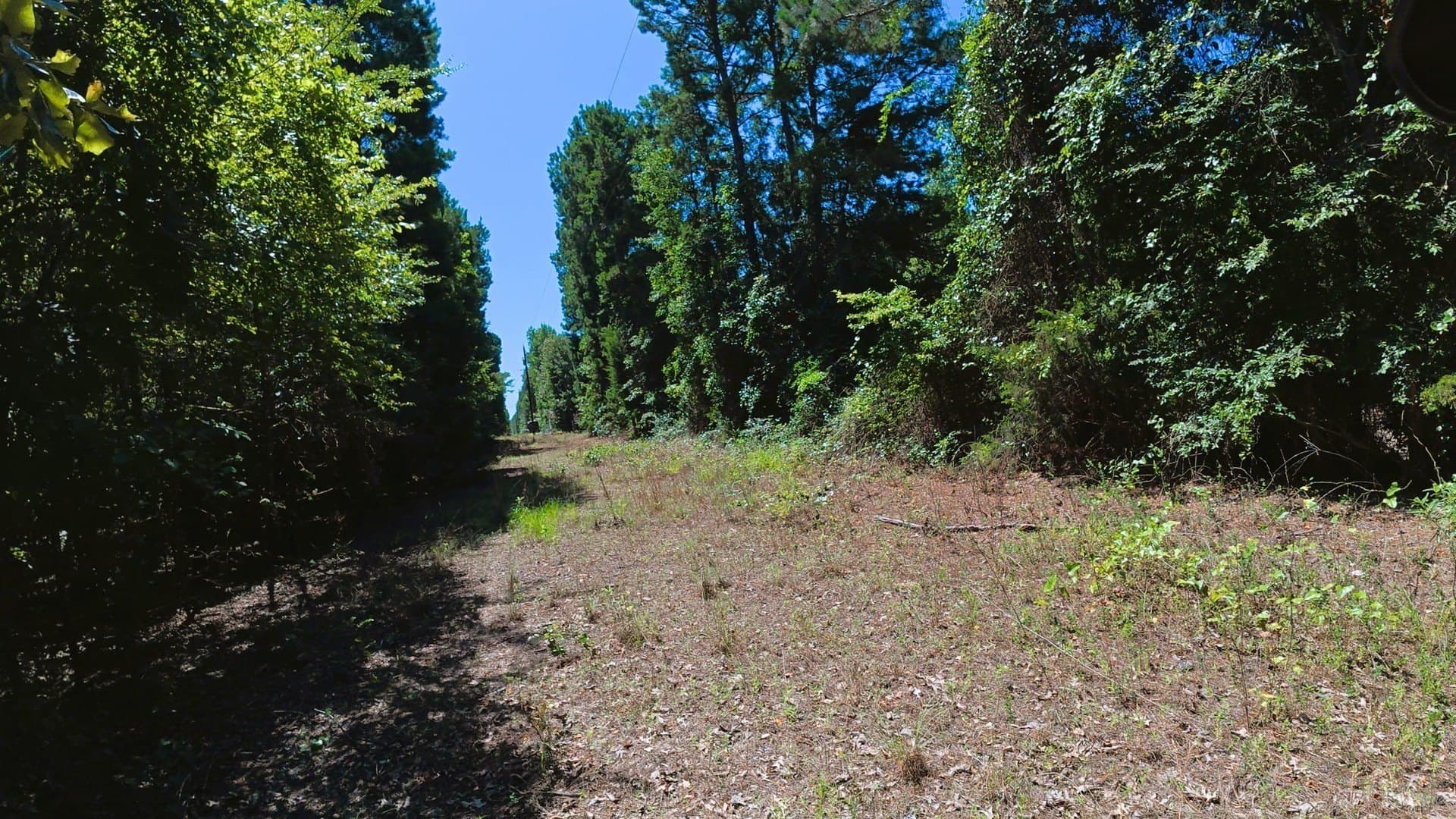 38.47 acres in Camp County - photo 10