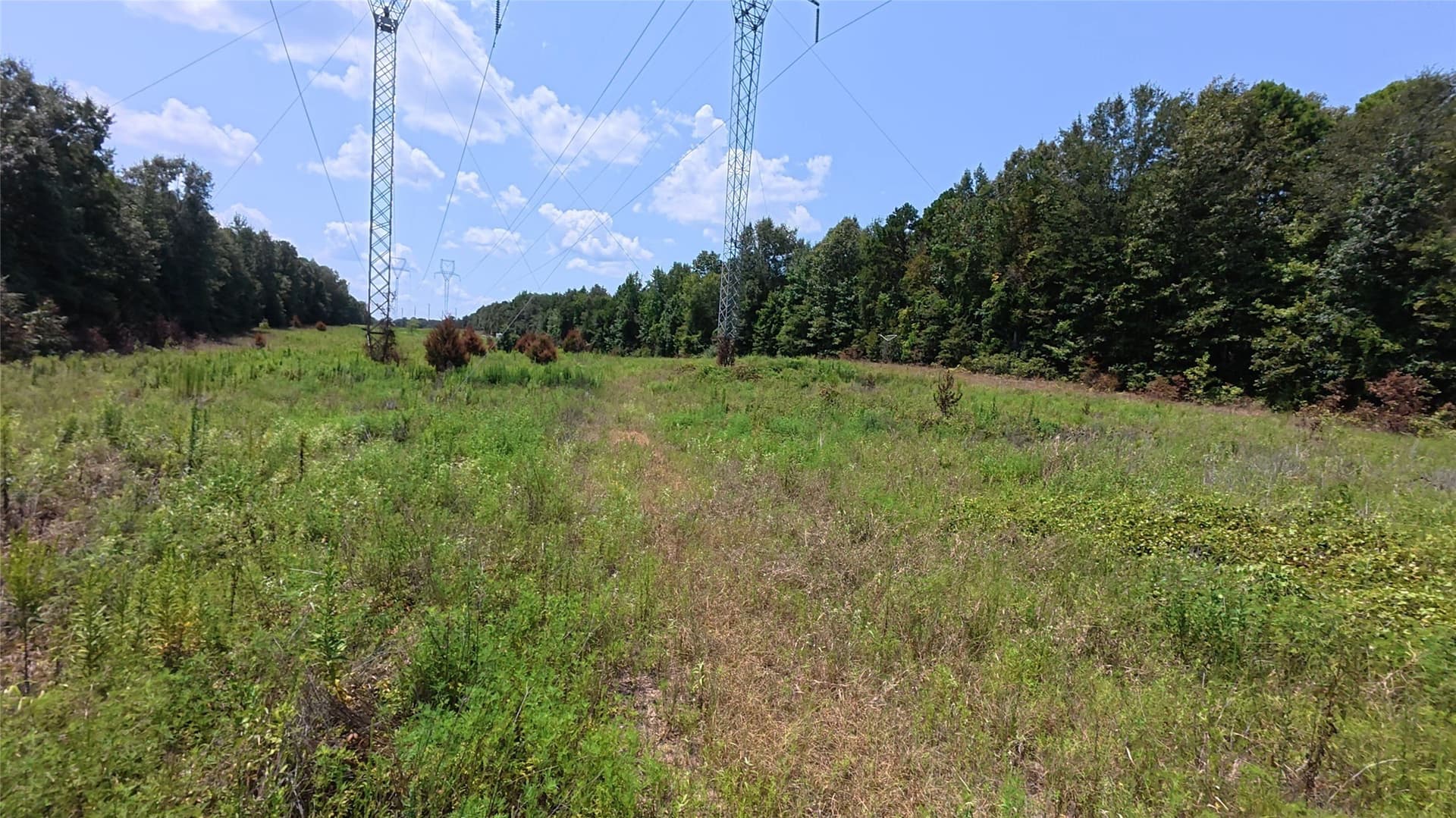 38.47 acres in Camp County - photo 24