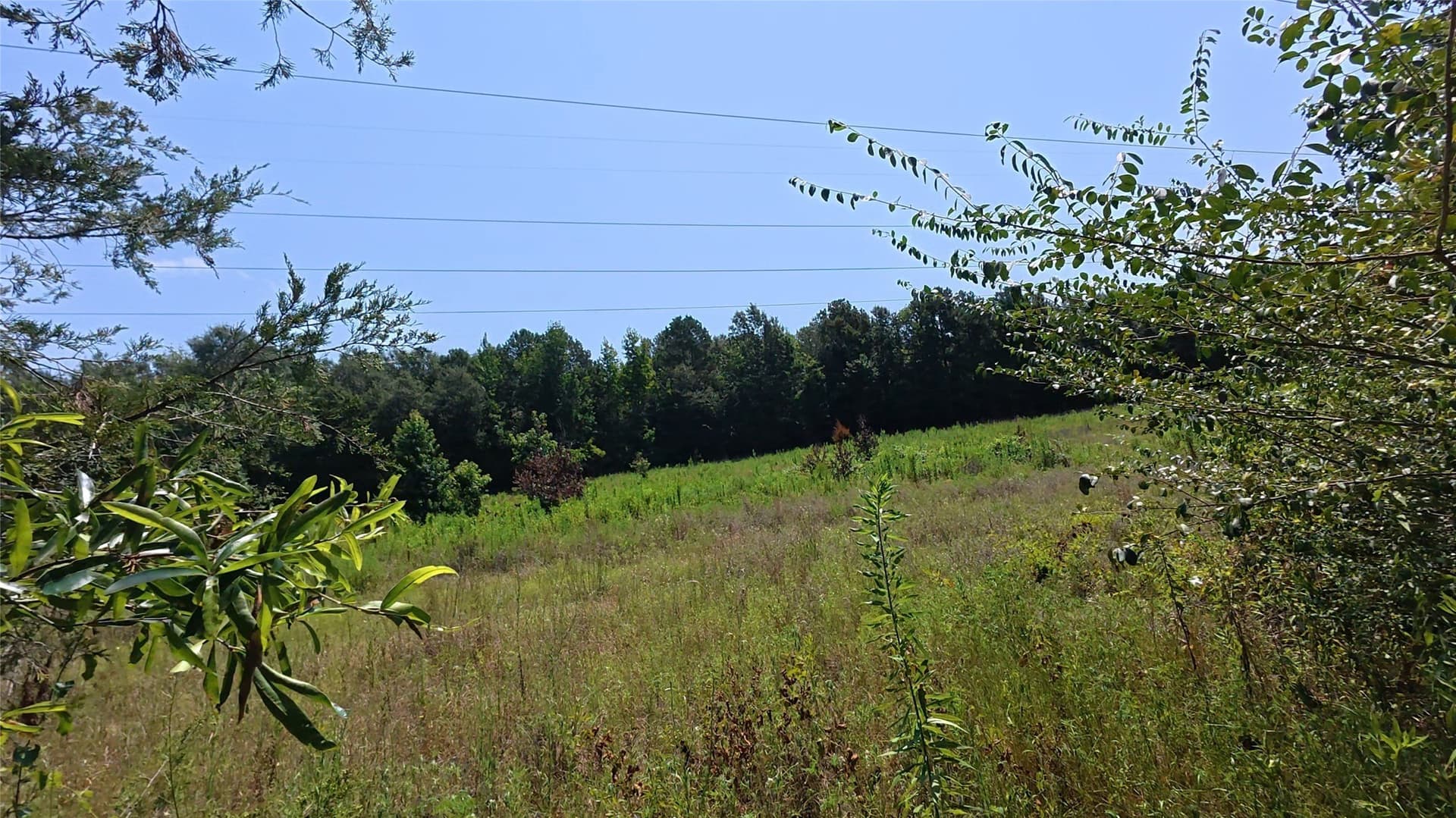 38.47 acres in Camp County - photo 17