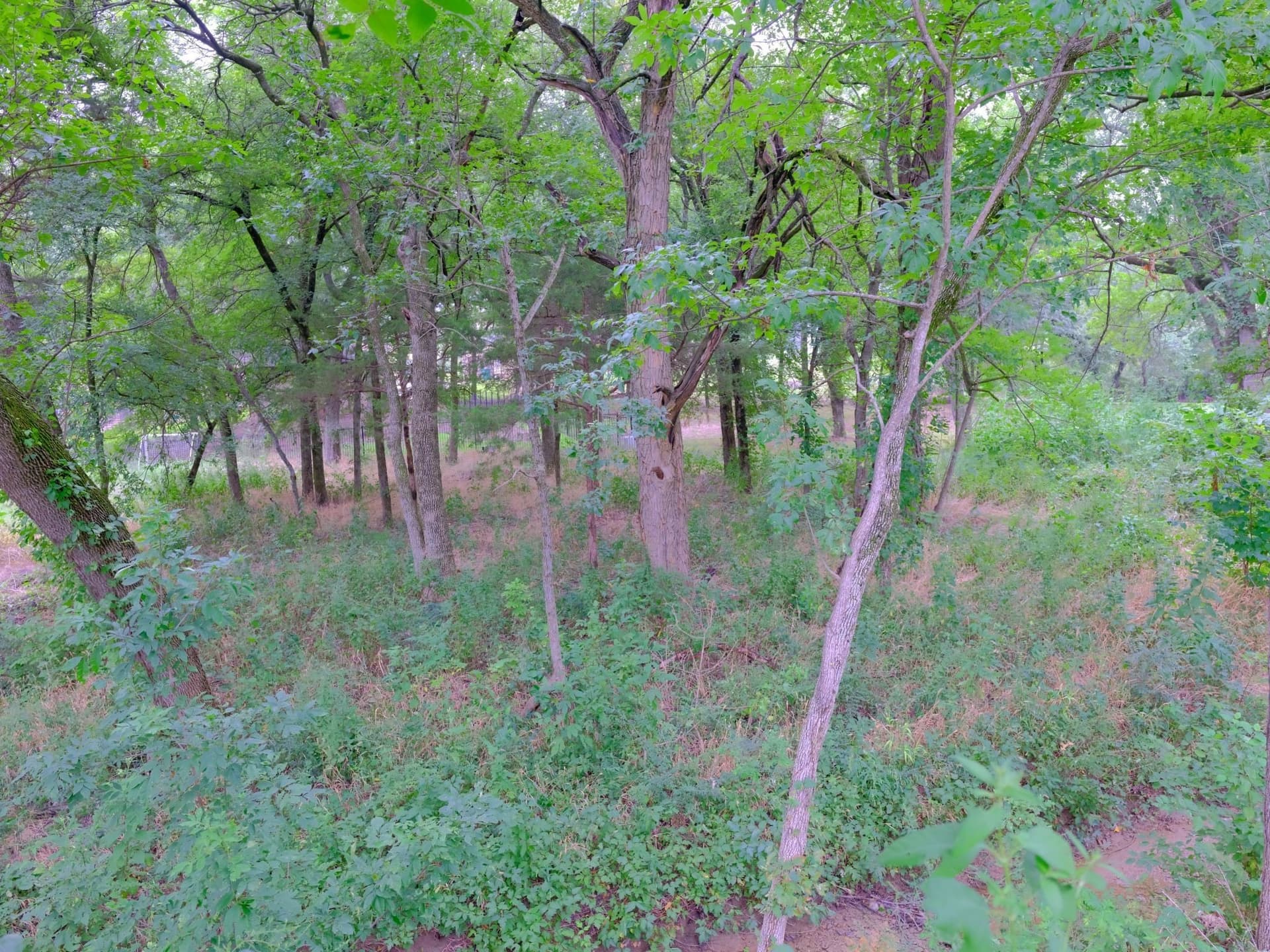 0.94 acres in Ellis County - photo 23