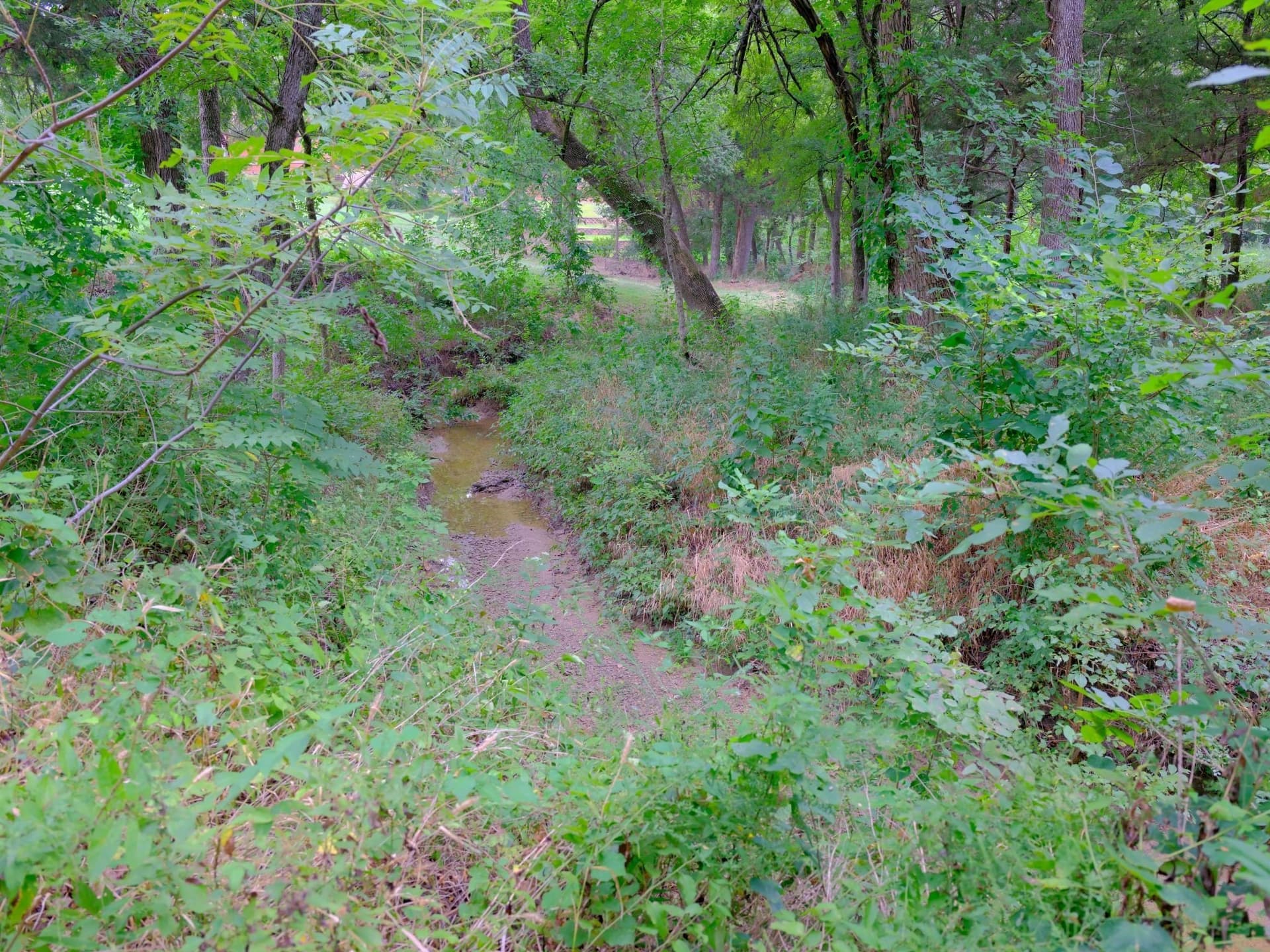 0.94 acres in Ellis County - photo 18