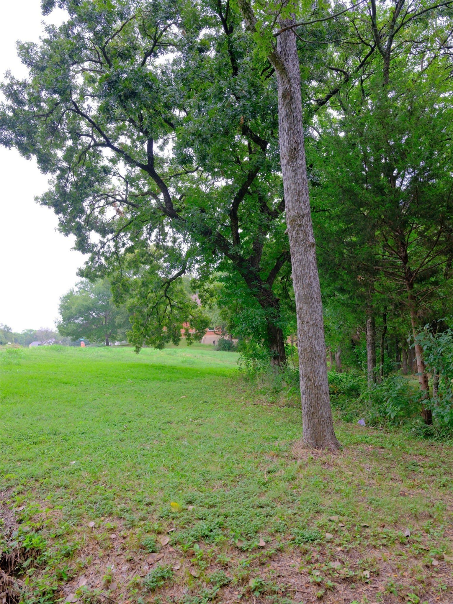 0.94 acres in Ellis County - photo 19