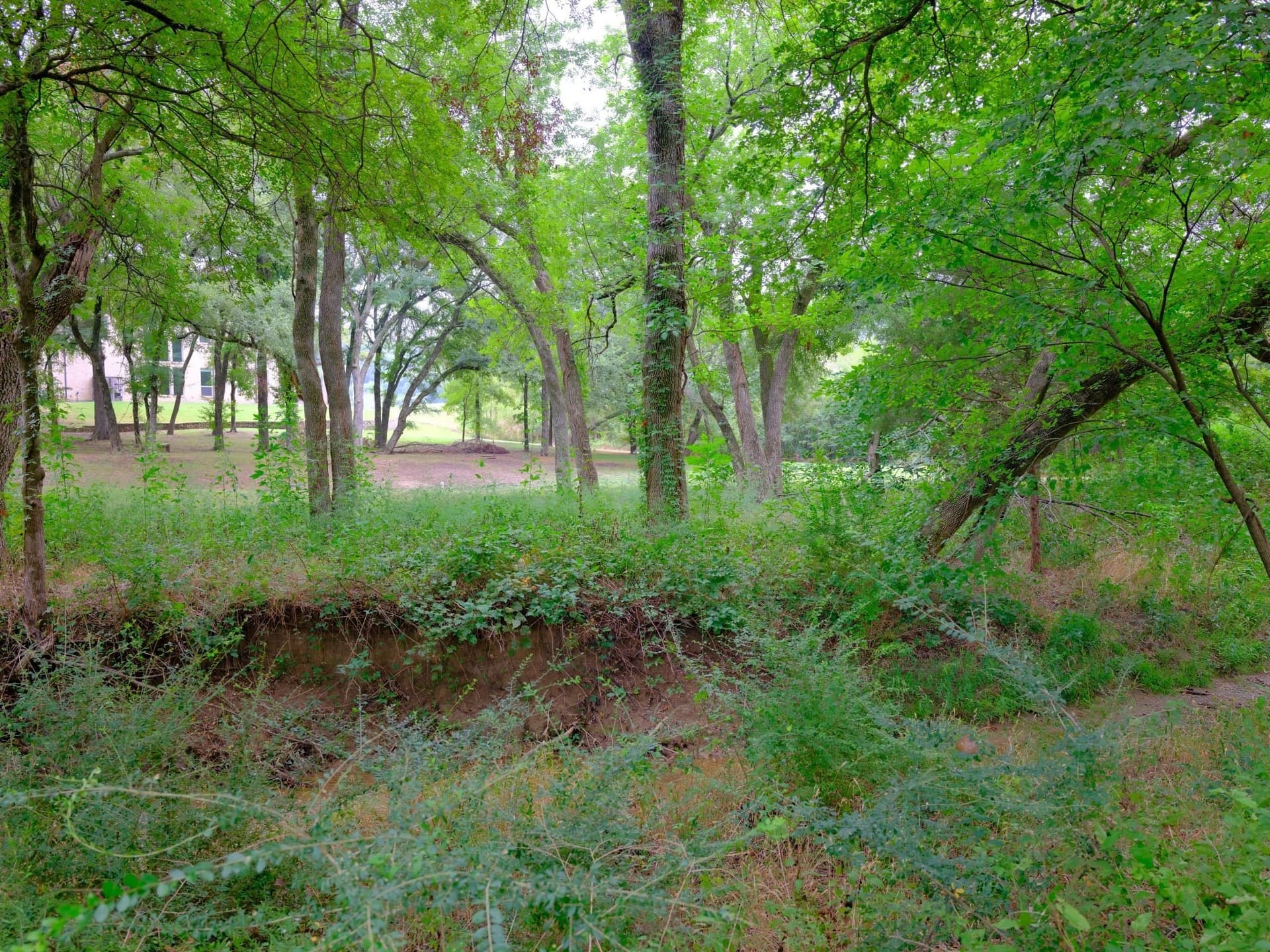 0.94 acres in Ellis County - photo 17