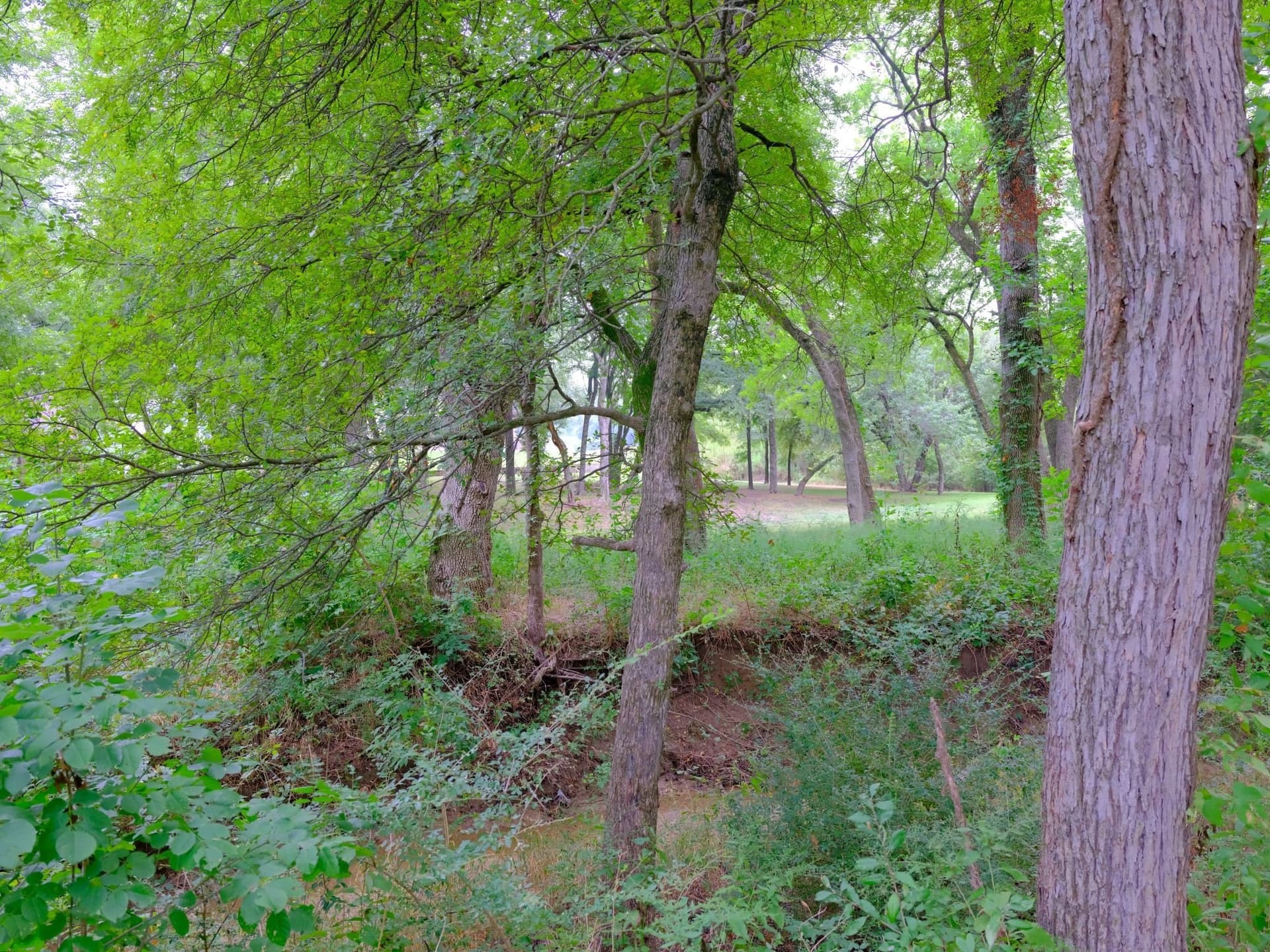 0.94 acres in Ellis County - photo 15