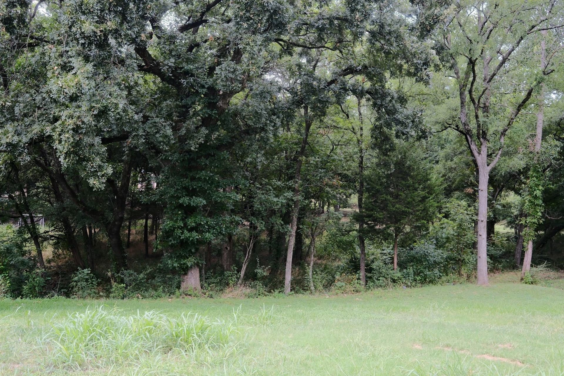 0.94 acres in Ellis County - photo 33