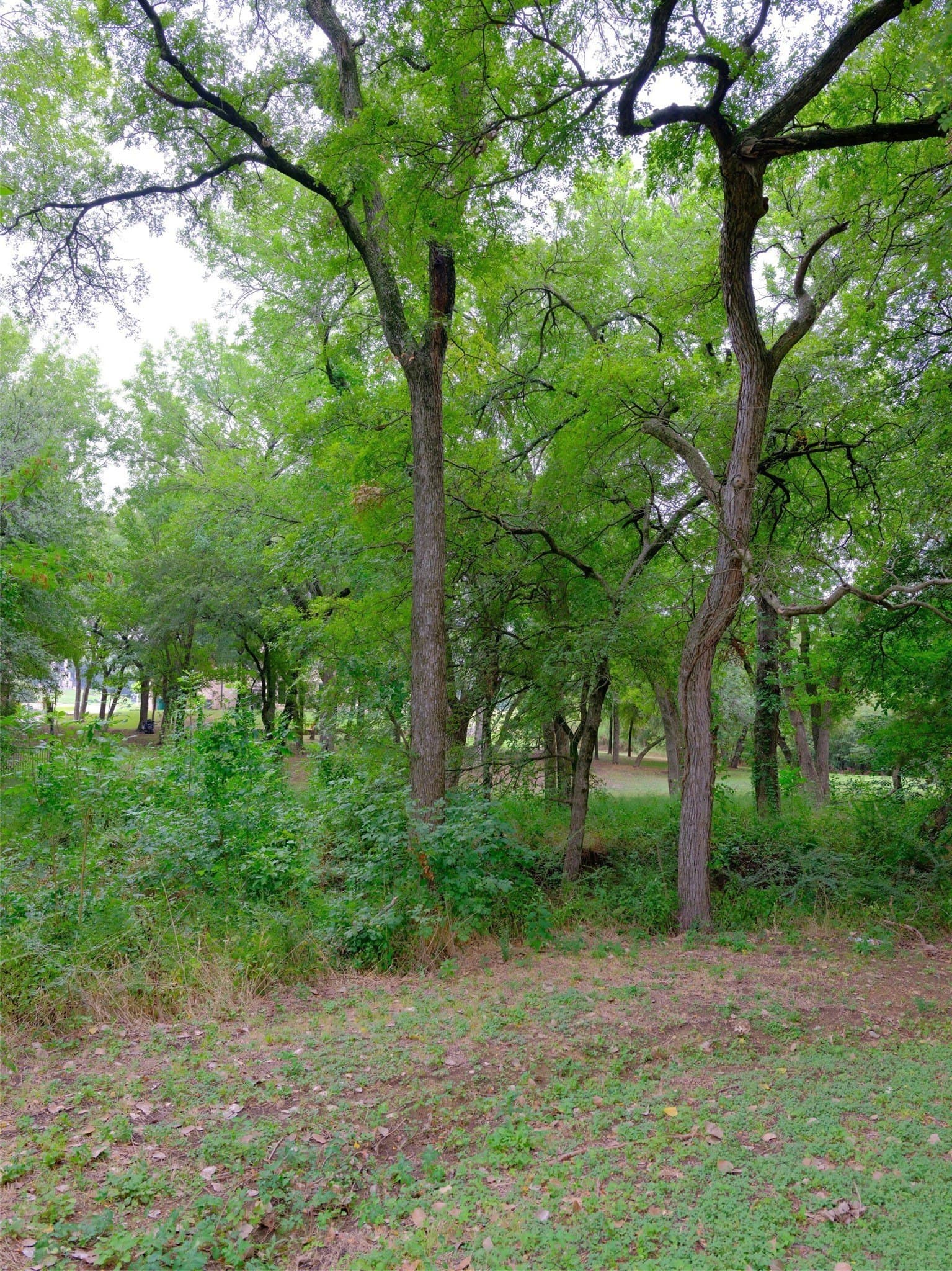 0.94 acres in Ellis County - photo 21