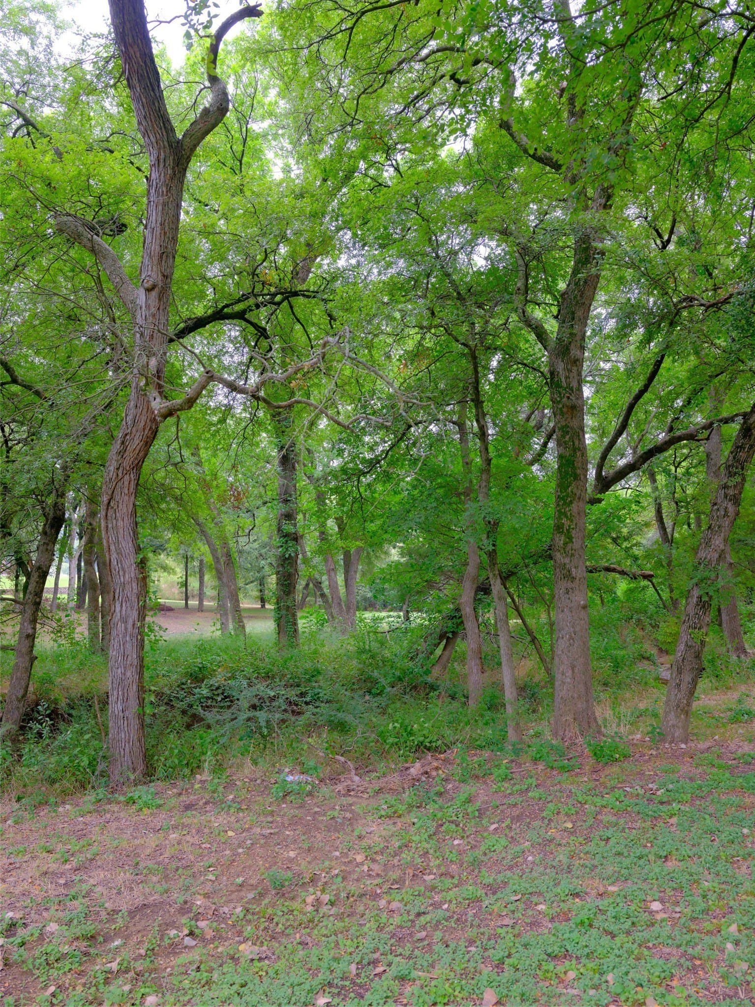 0.94 acres in Ellis County - photo 22