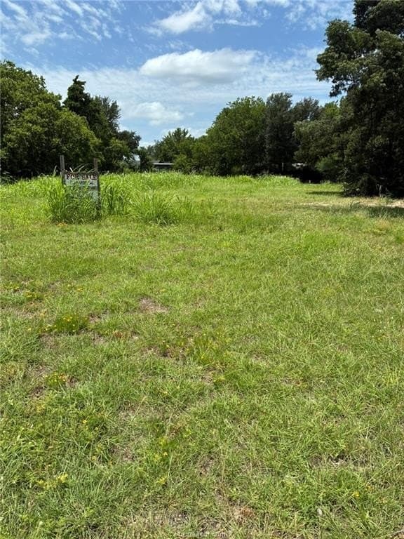 51 acres in Brazos County gallery image 3