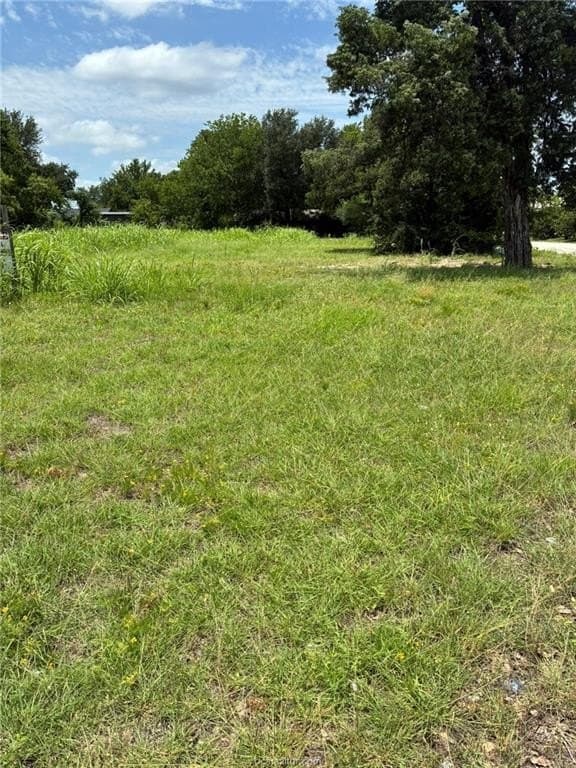 51 acres in Brazos County gallery image 4