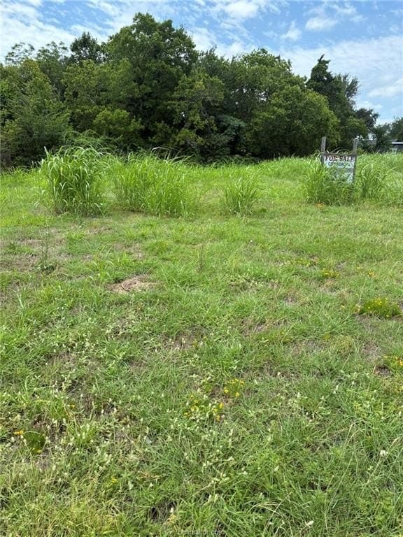 51 acres in Brazos County gallery image 2