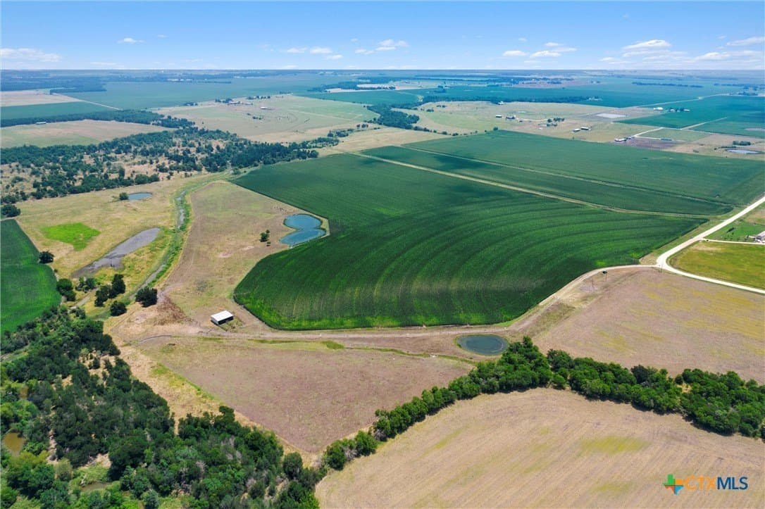 114.43 acres in Williamson County gallery image 3