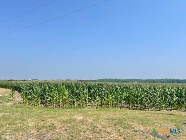 114.43 acres in Williamson County - photo 8