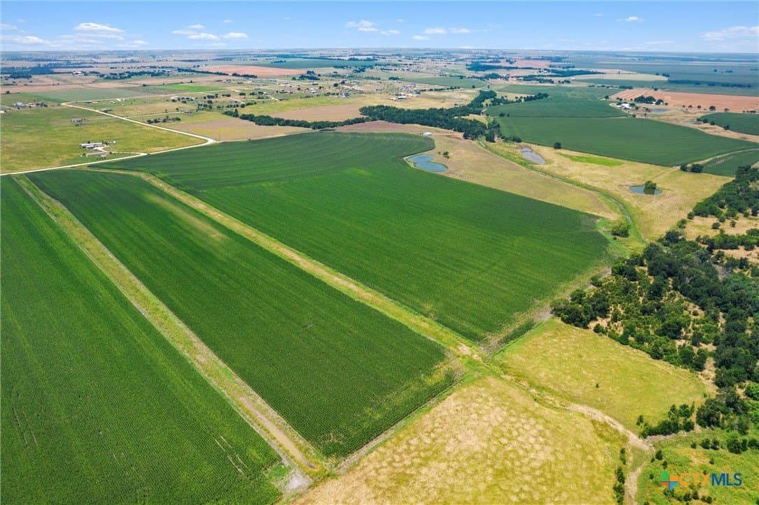 114.43 acres in Williamson County