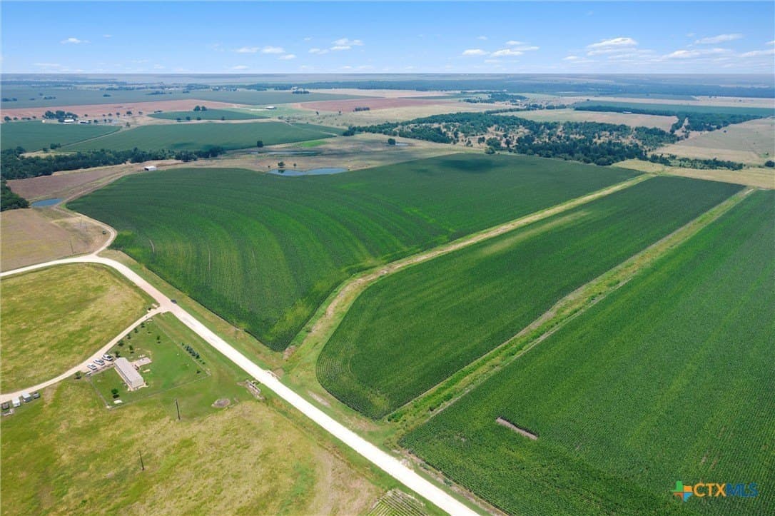 114.43 acres in Williamson County gallery image 4