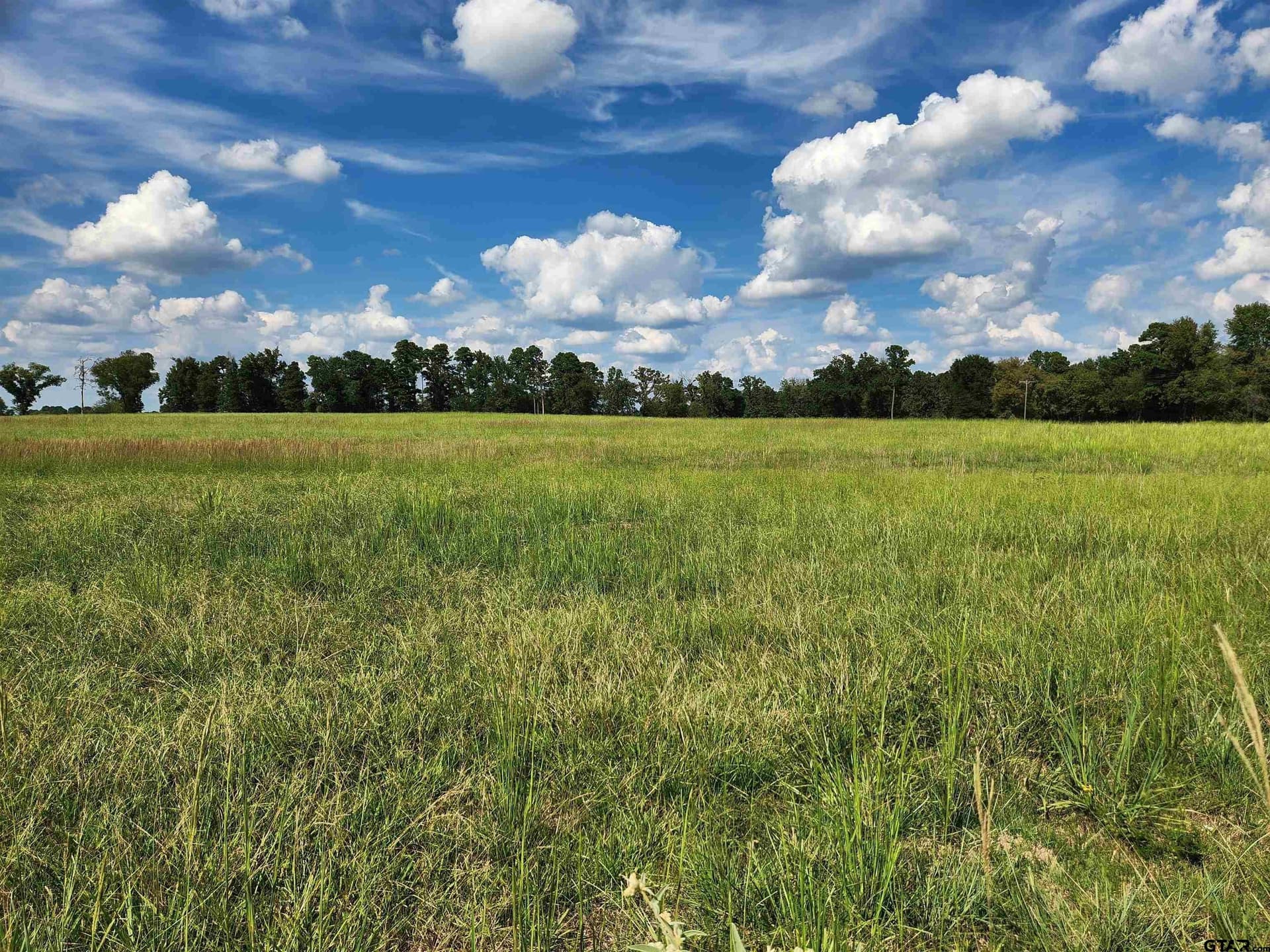 4 acres in Titus County