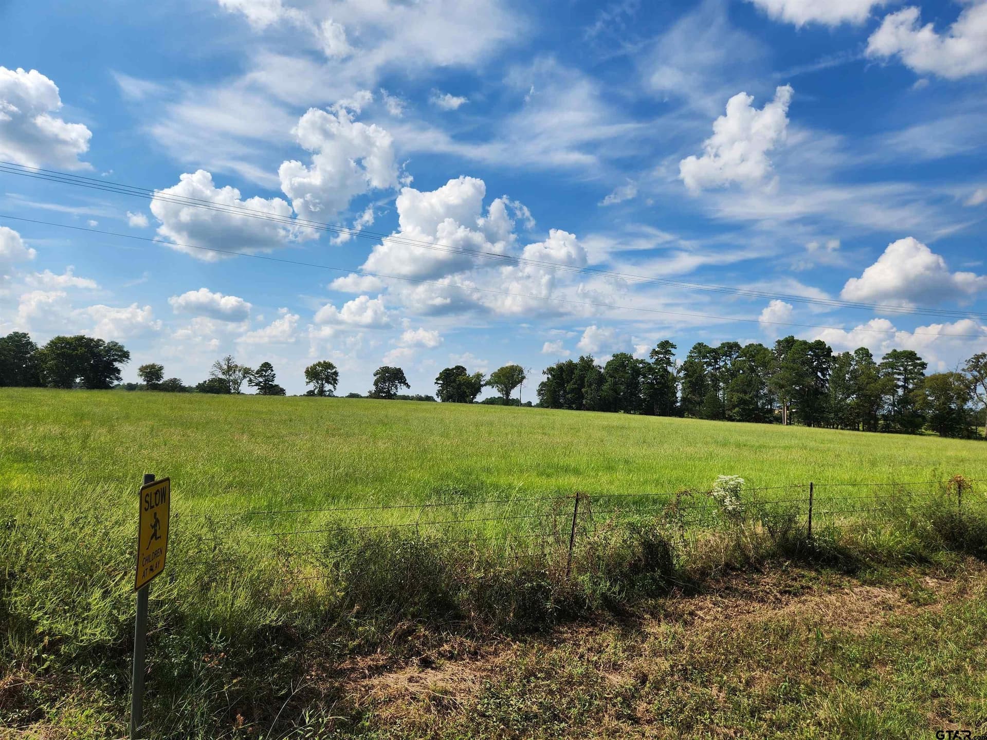4 acres in Titus County featured view