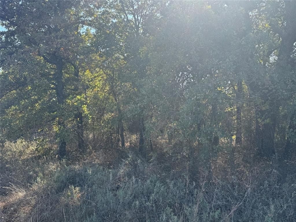 15 acres in Jack County gallery image 4
