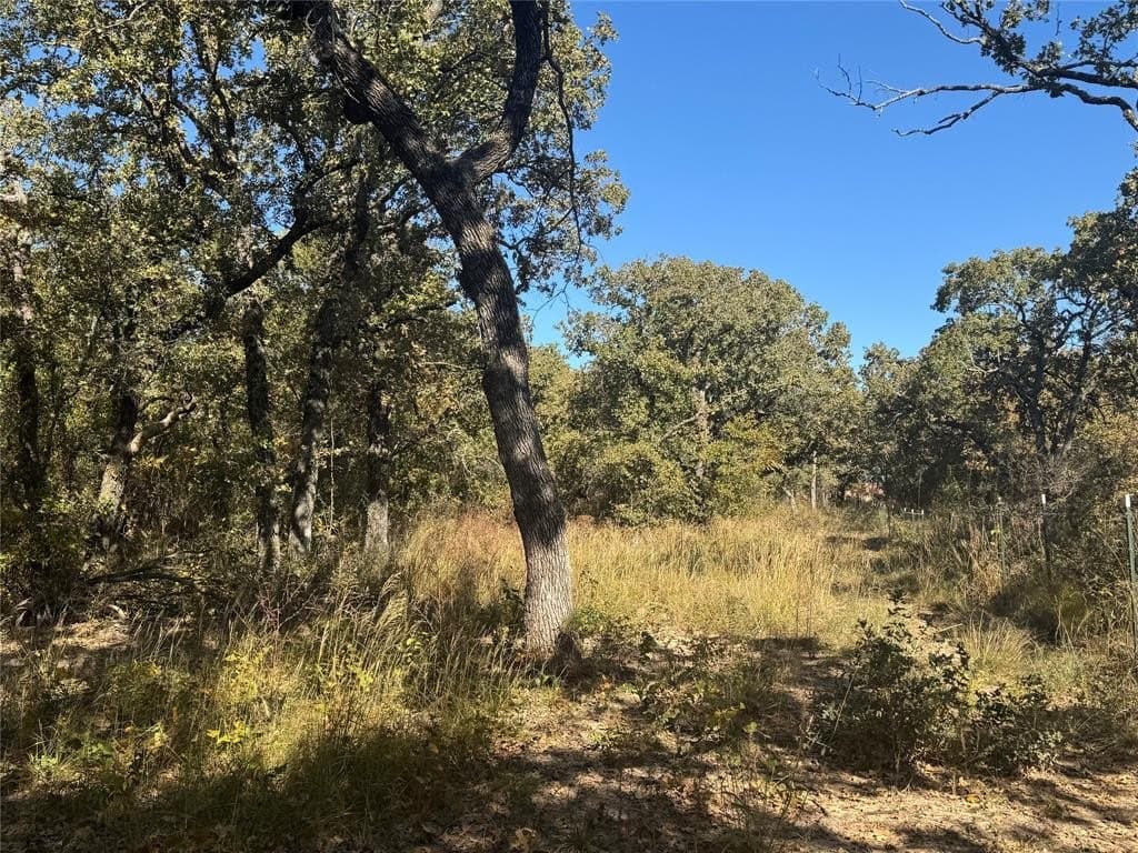 15 acres in Jack County featured view