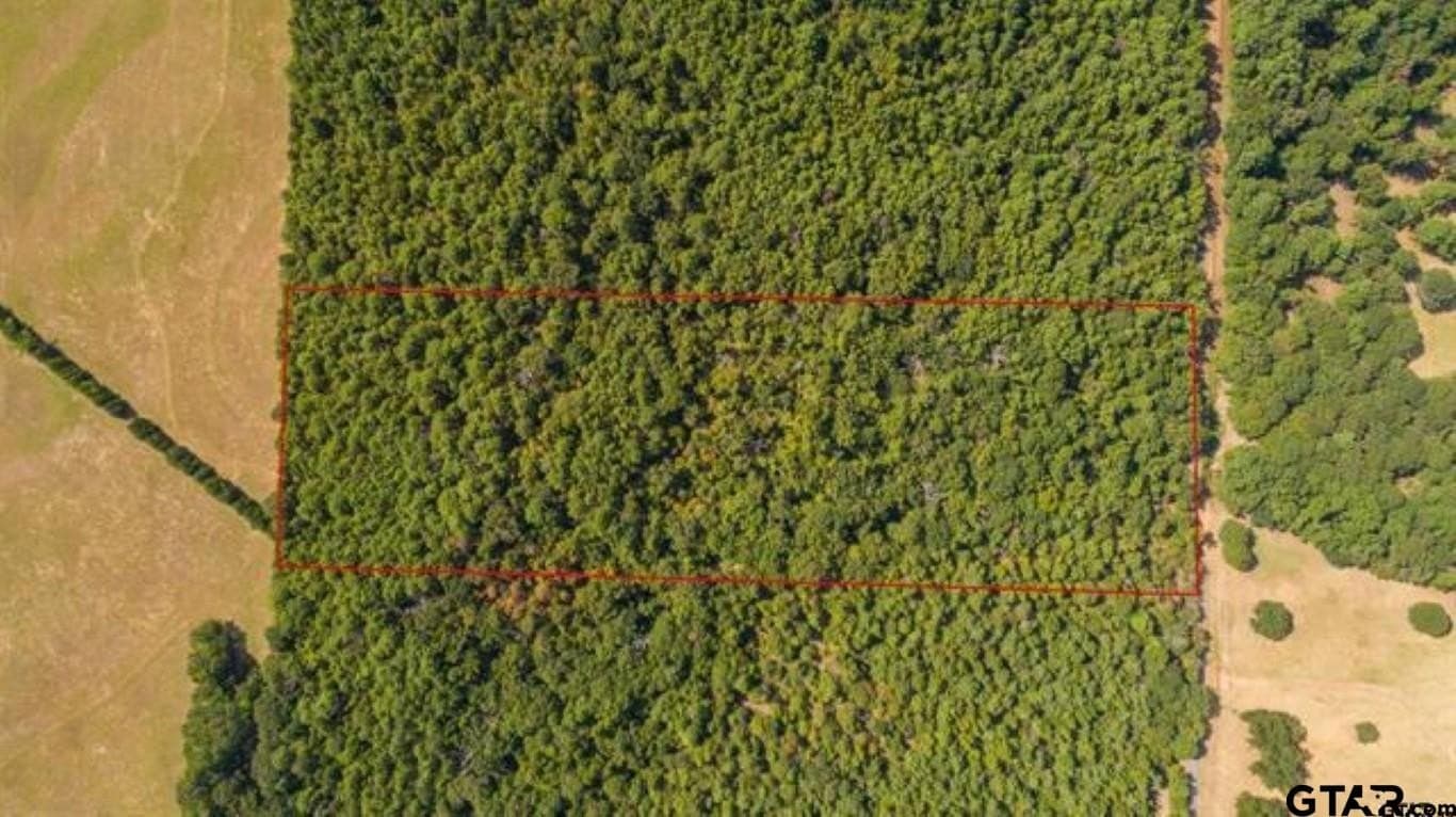 21.57 acres in Smith County - photo 7