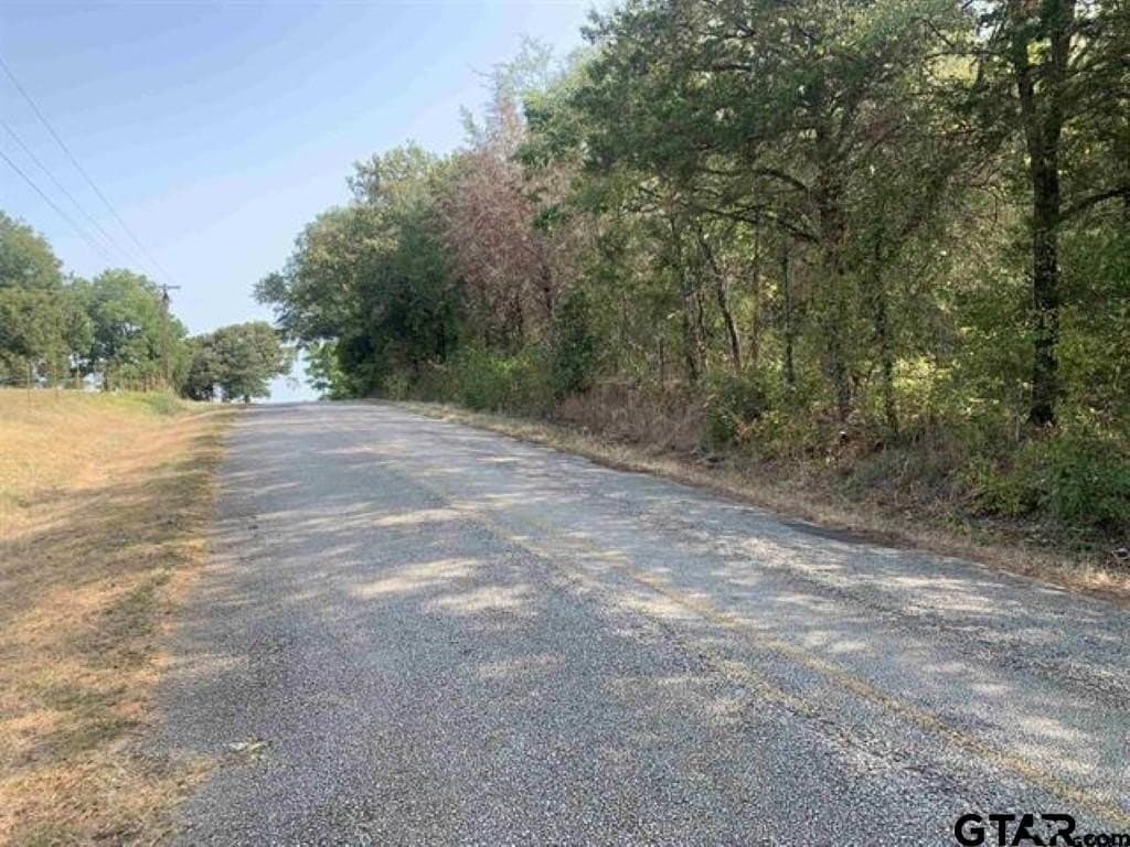 21.57 acres in Smith County - photo 10