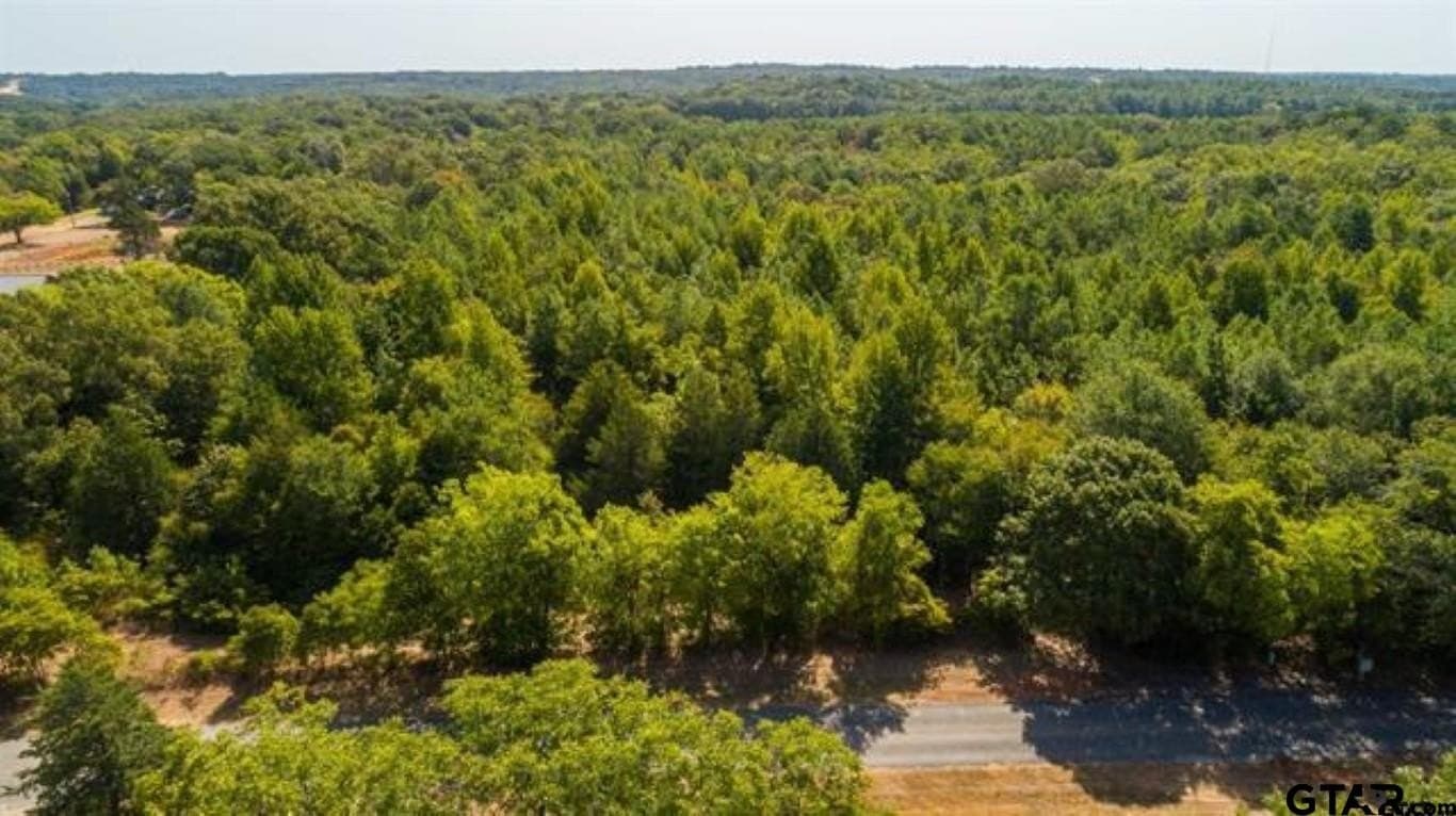 21.57 acres in Smith County - photo 6
