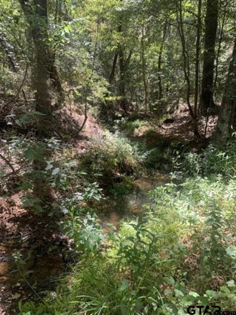 21.57 acres in Smith County - photo 4