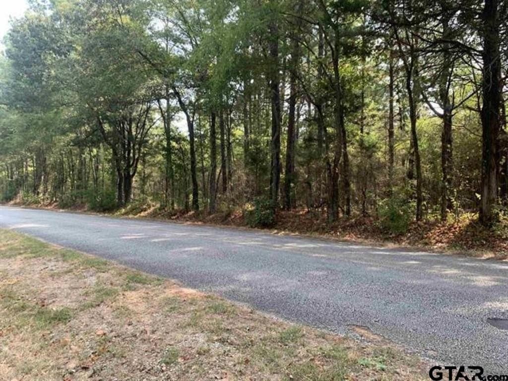 21.57 acres in Smith County - photo 11