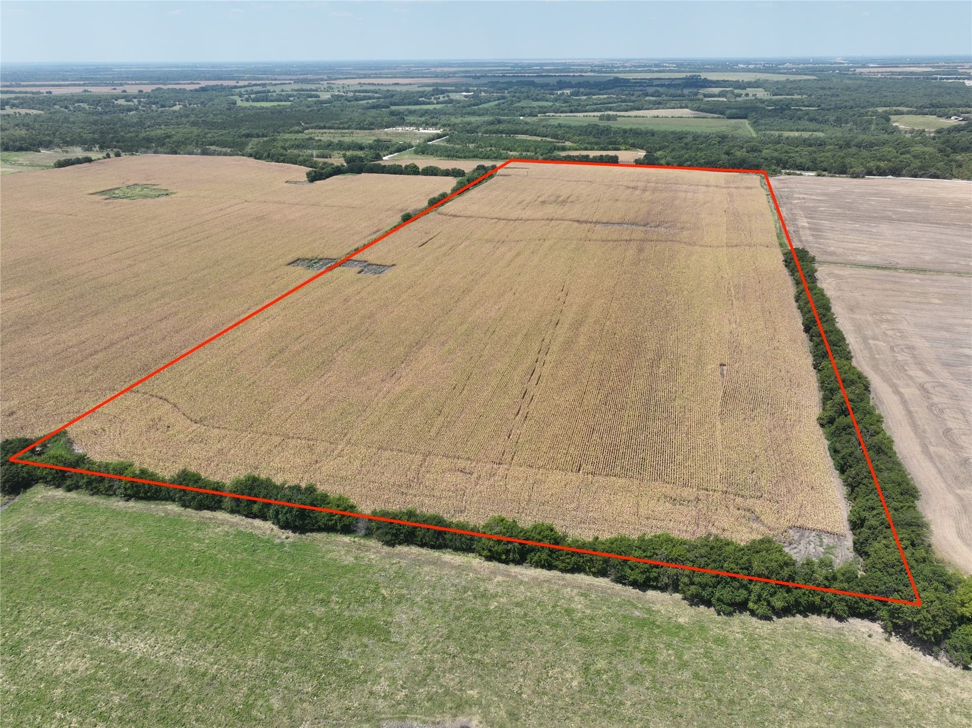 54.52 acres in Lamar County gallery image 4