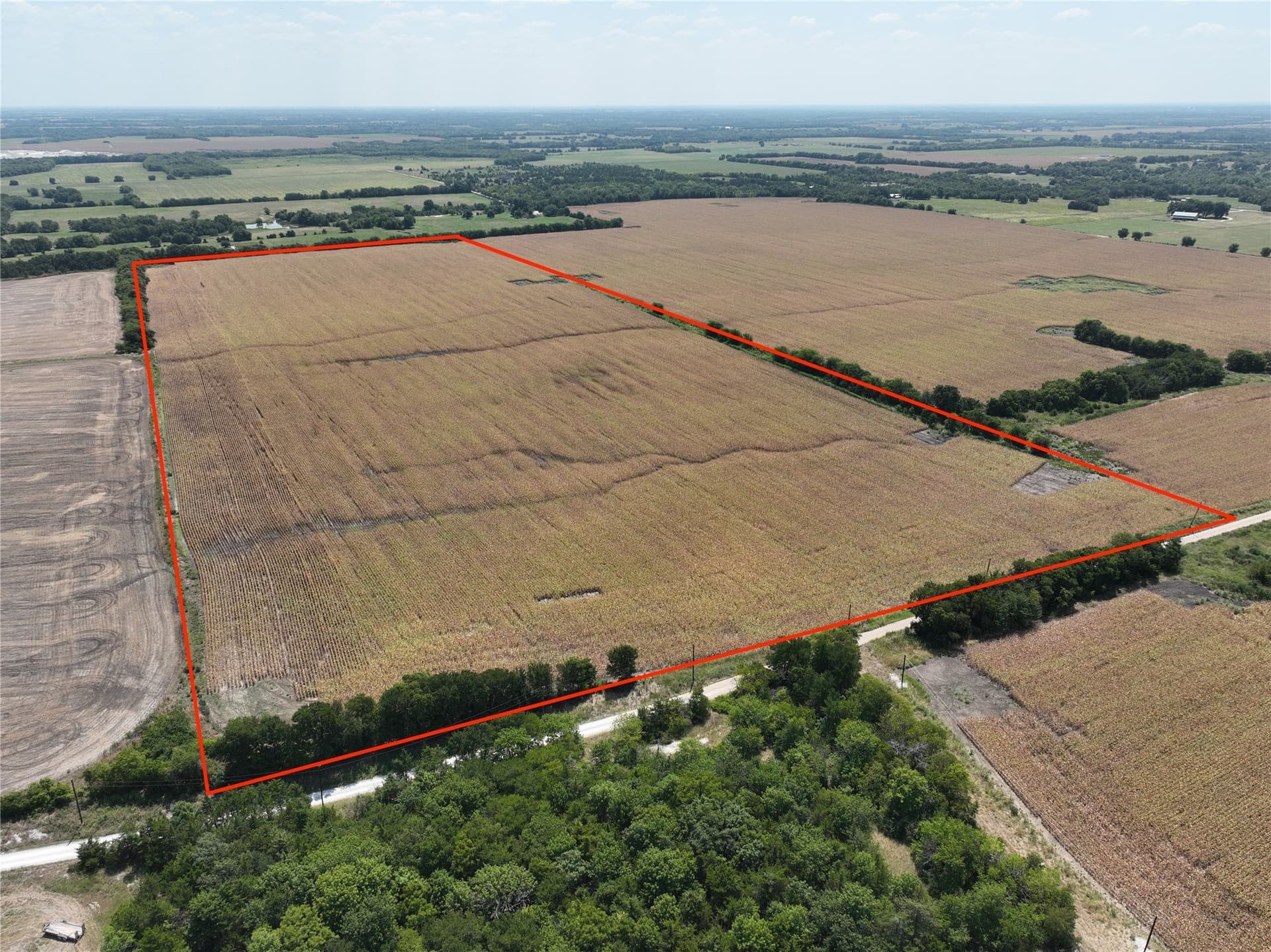 54.52 acres in Lamar County gallery image 2