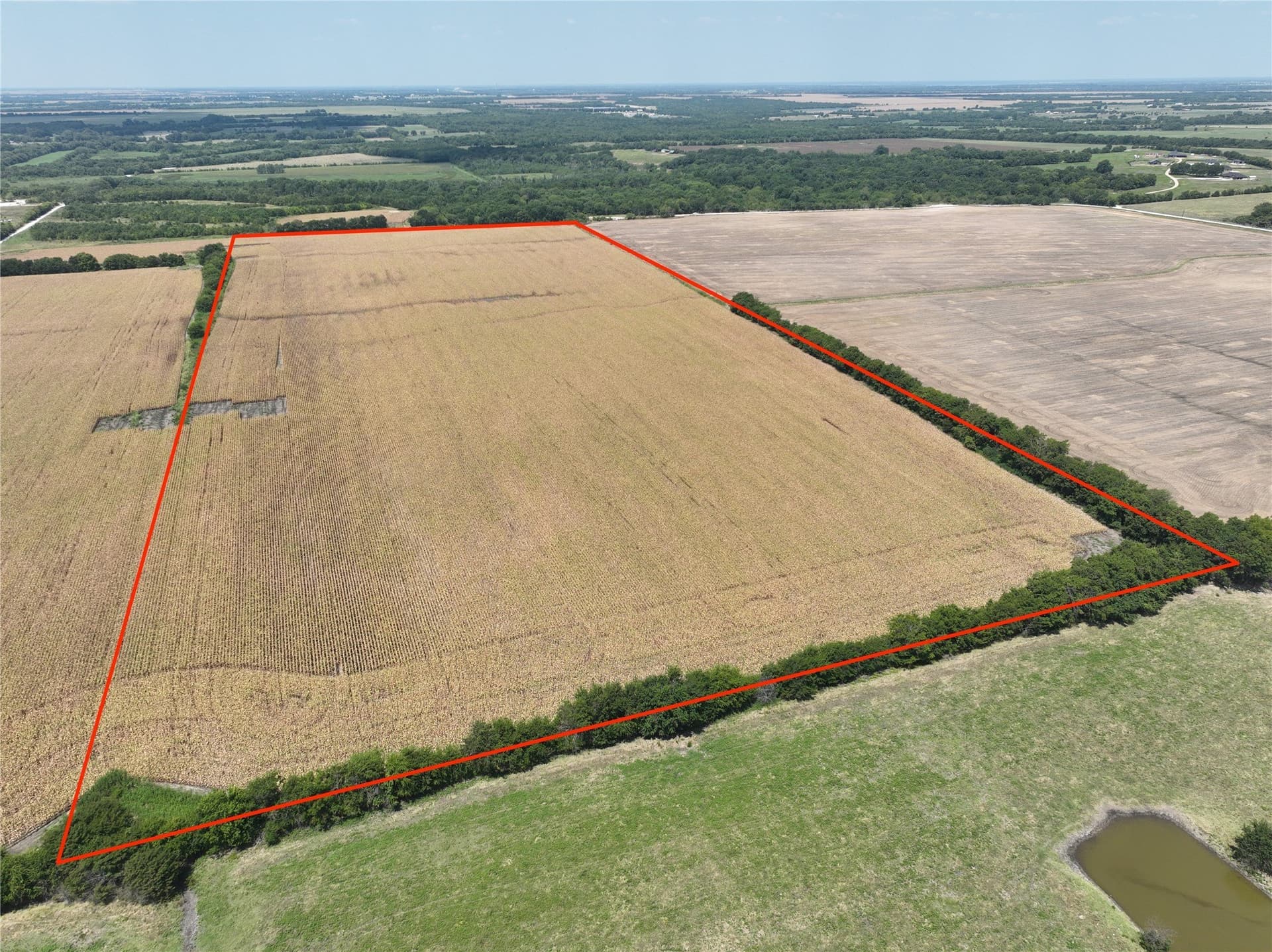 54.52 acres in Lamar County featured view
