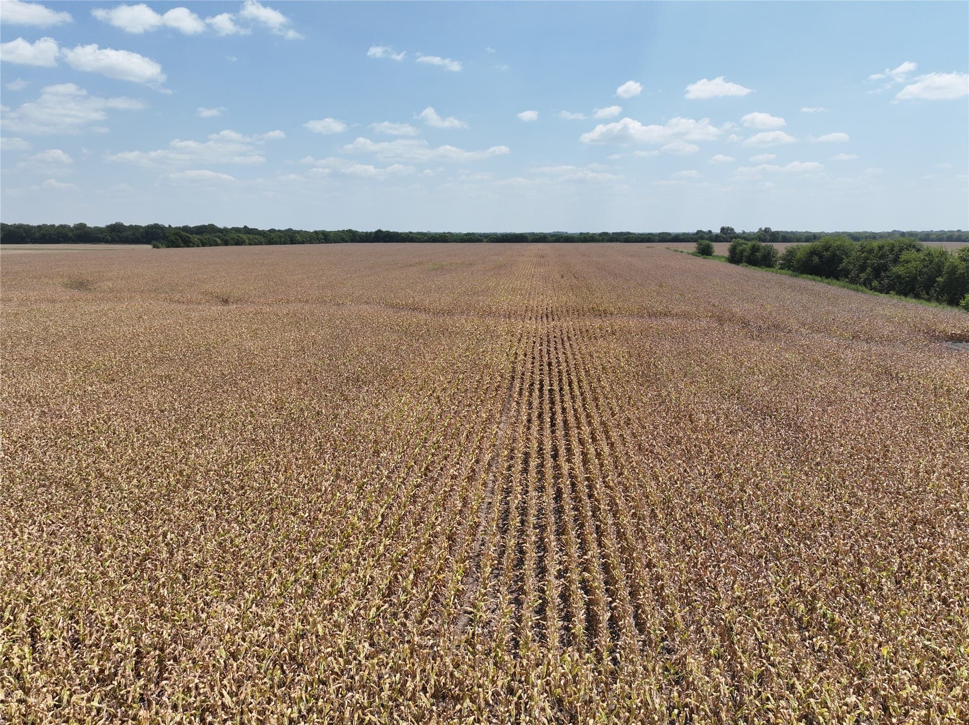 54.52 acres in Lamar County - photo 7