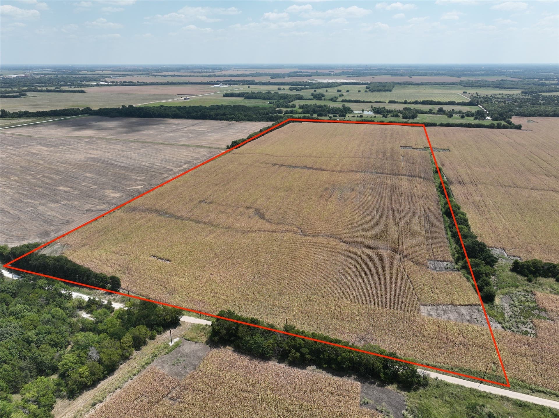 54.52 acres in Lamar County gallery image 3