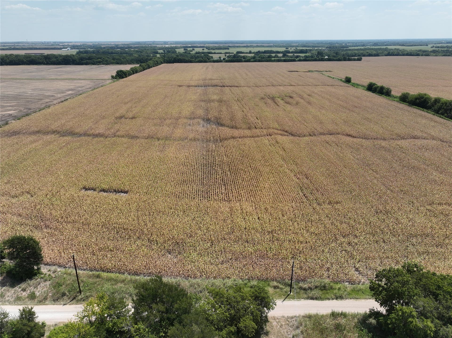 54.52 acres in Lamar County - photo 6