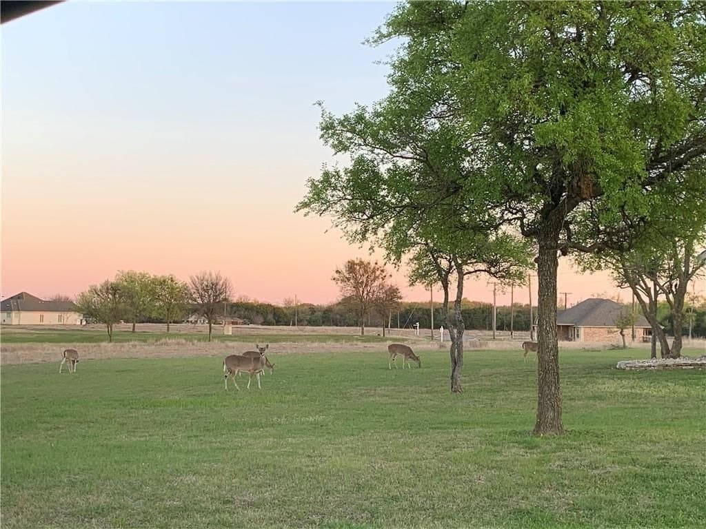 0.3 acres in Hill County featured view