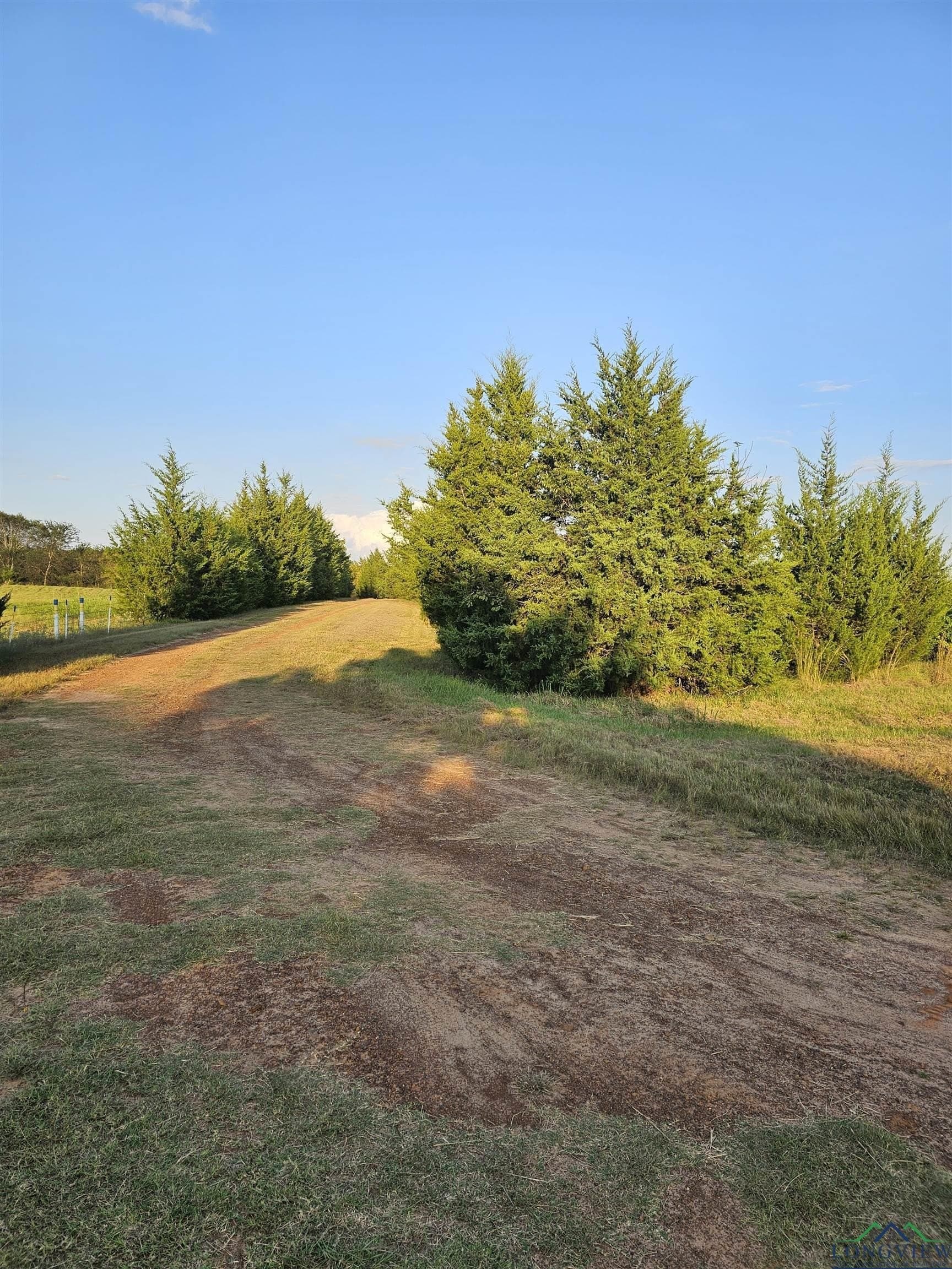 17 acres in Panola County featured view