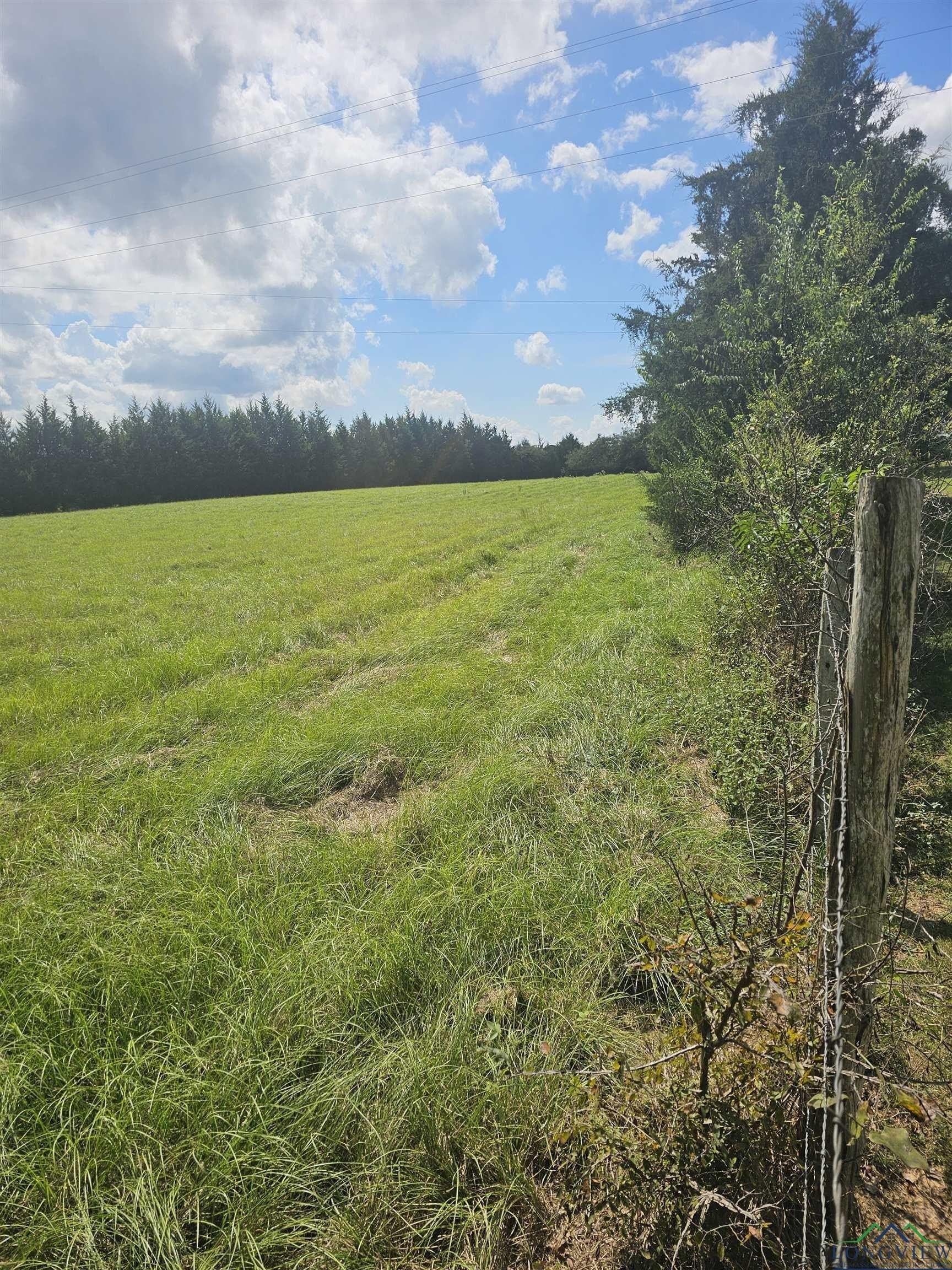 17 acres in Panola County gallery image 4