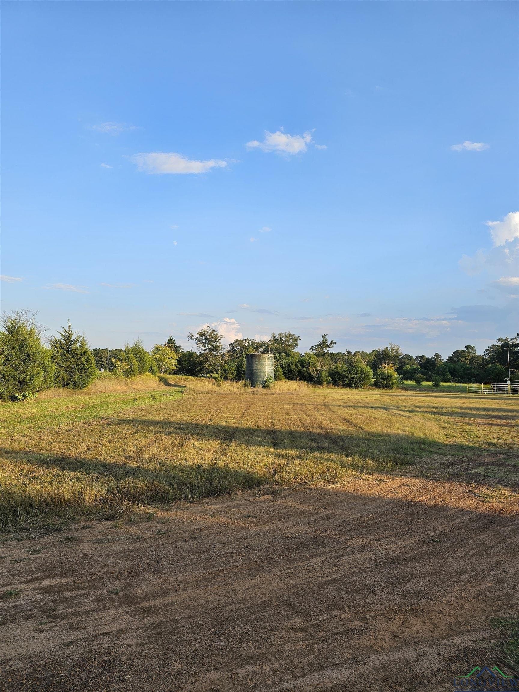 17 acres in Panola County gallery image 3