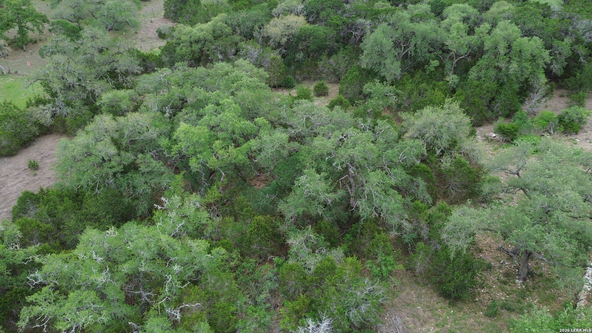 1.57 acres in Comal County - photo 8