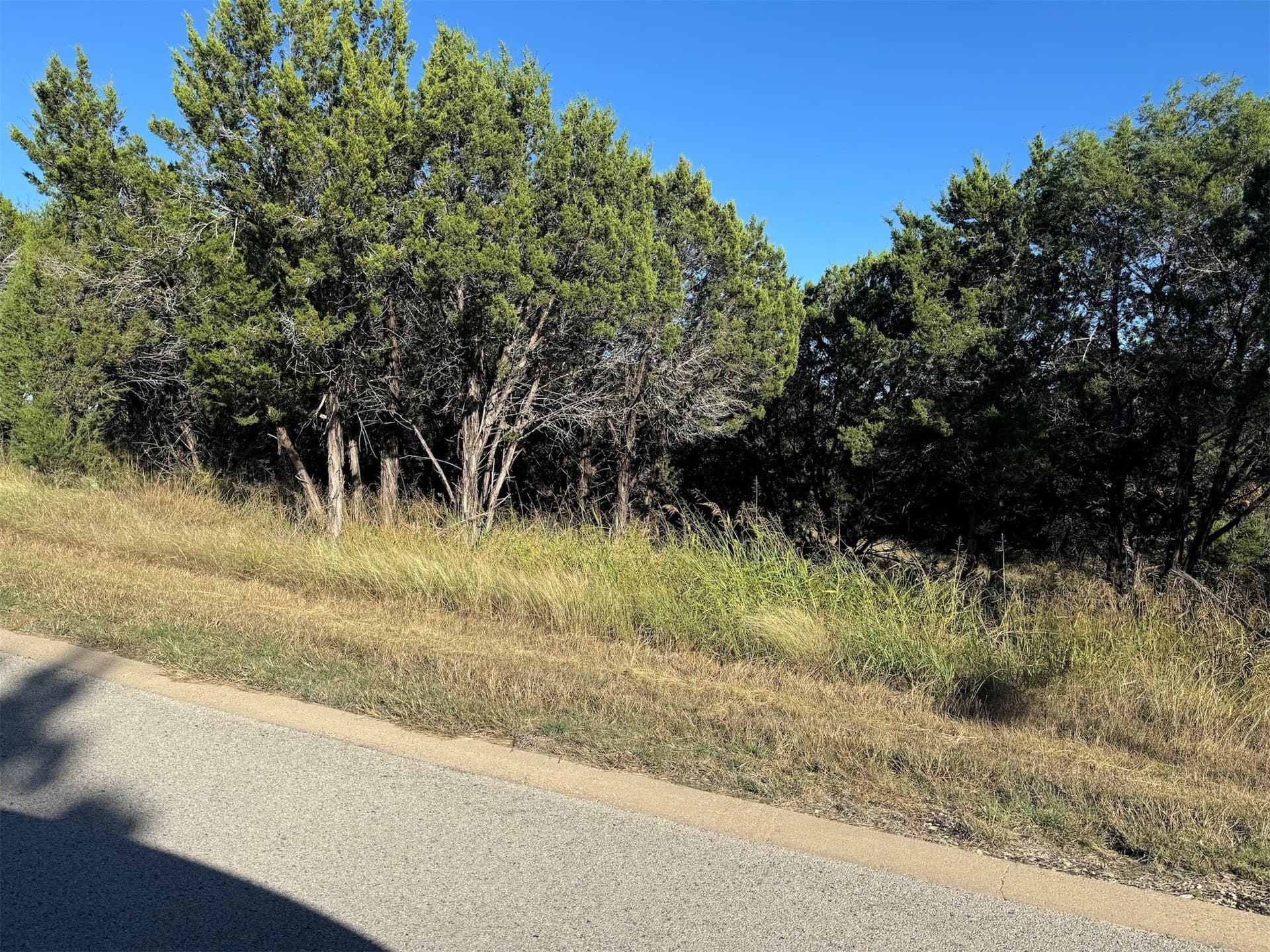 0.57 acres in Johnson County gallery image 4