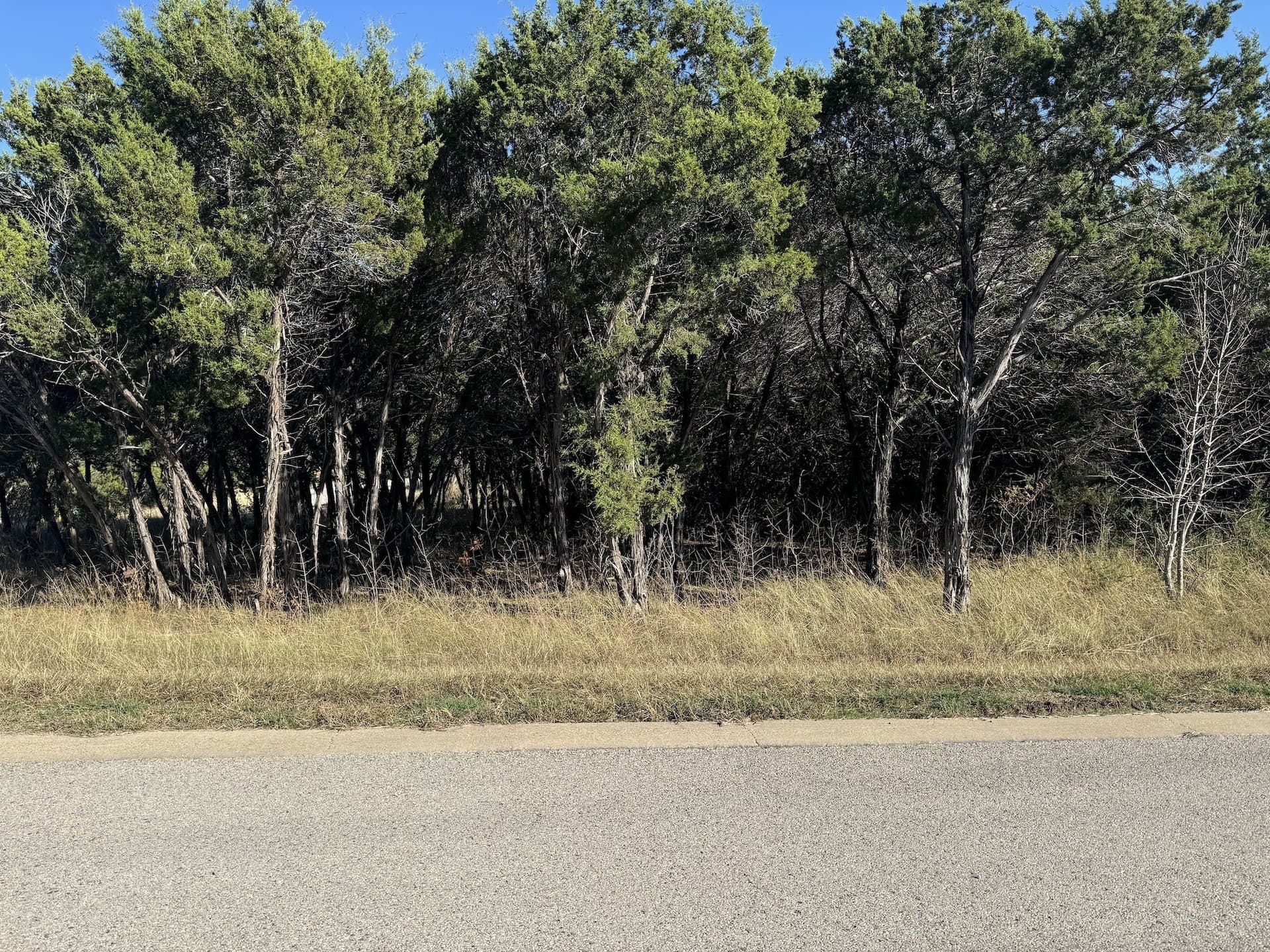 0.57 acres in Johnson County gallery image 3