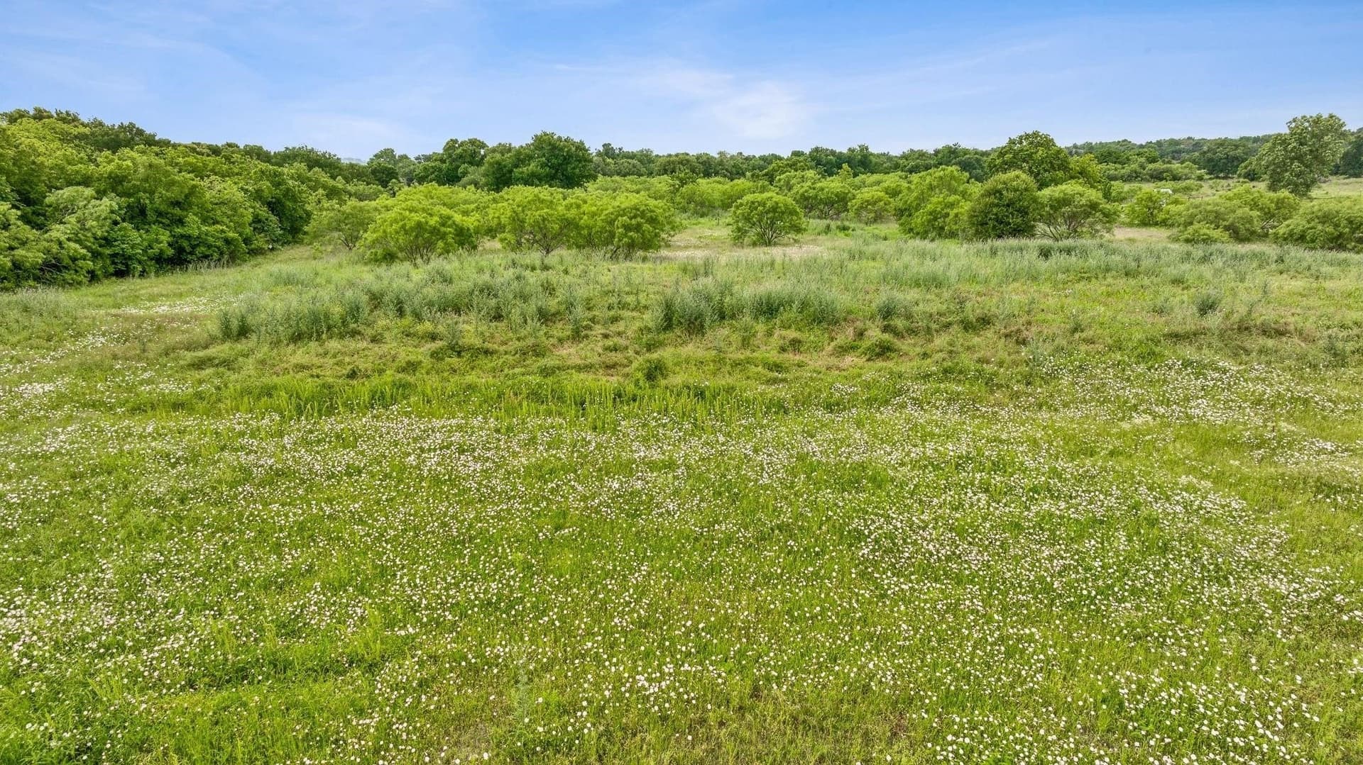 26.91 acres in Erath County - photo 23