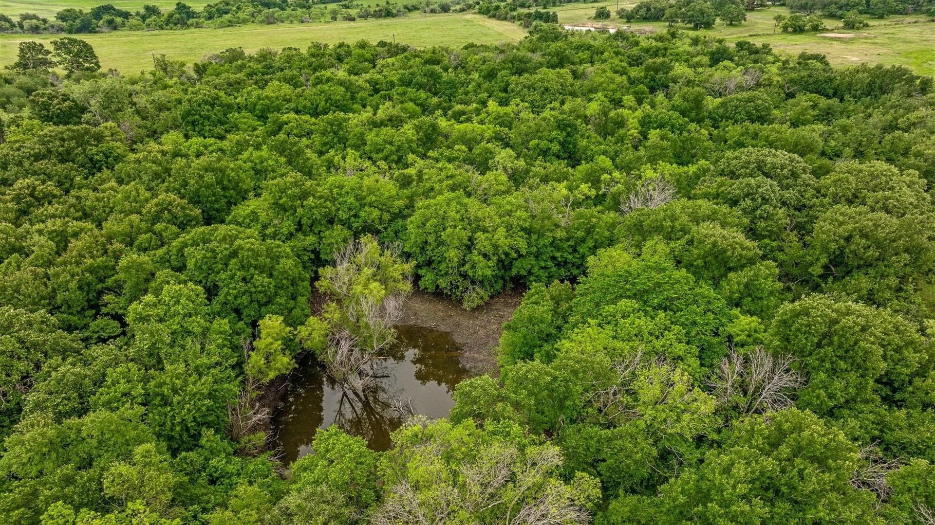 26.91 acres in Erath County - photo 20