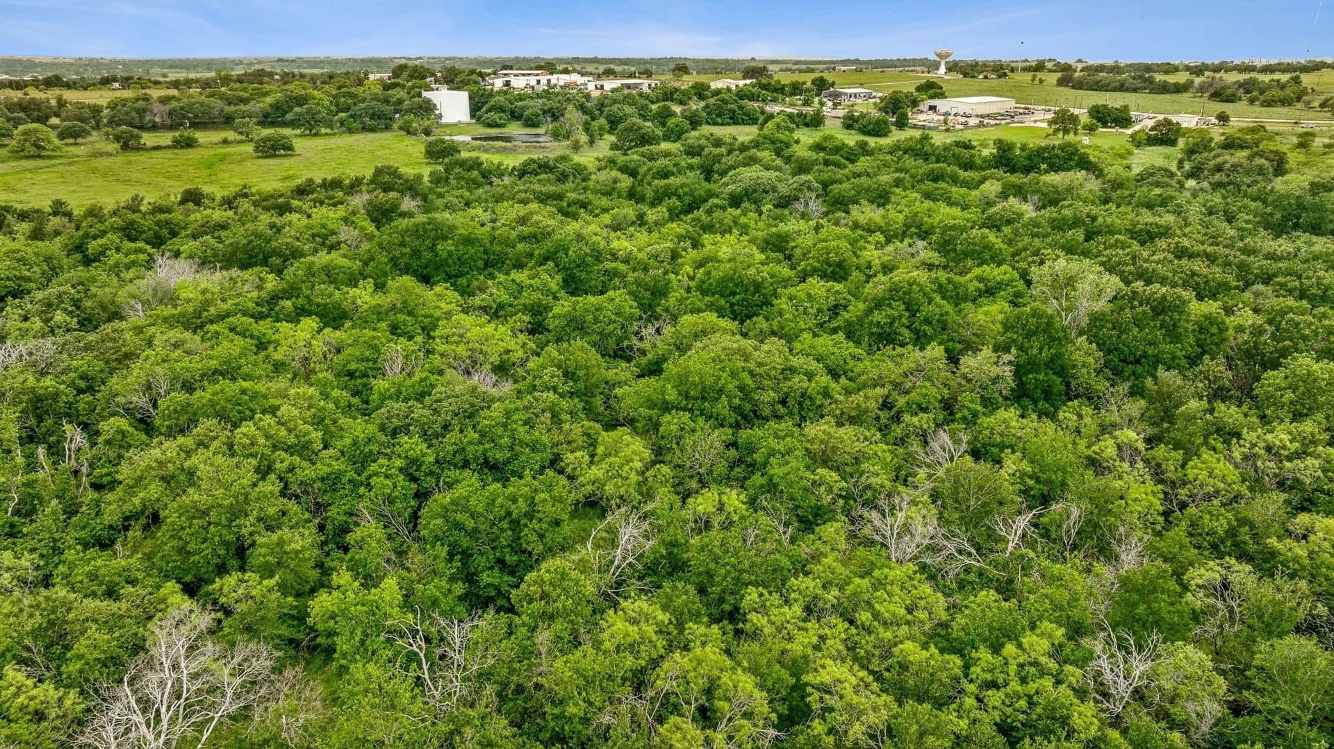 26.91 acres in Erath County - photo 18