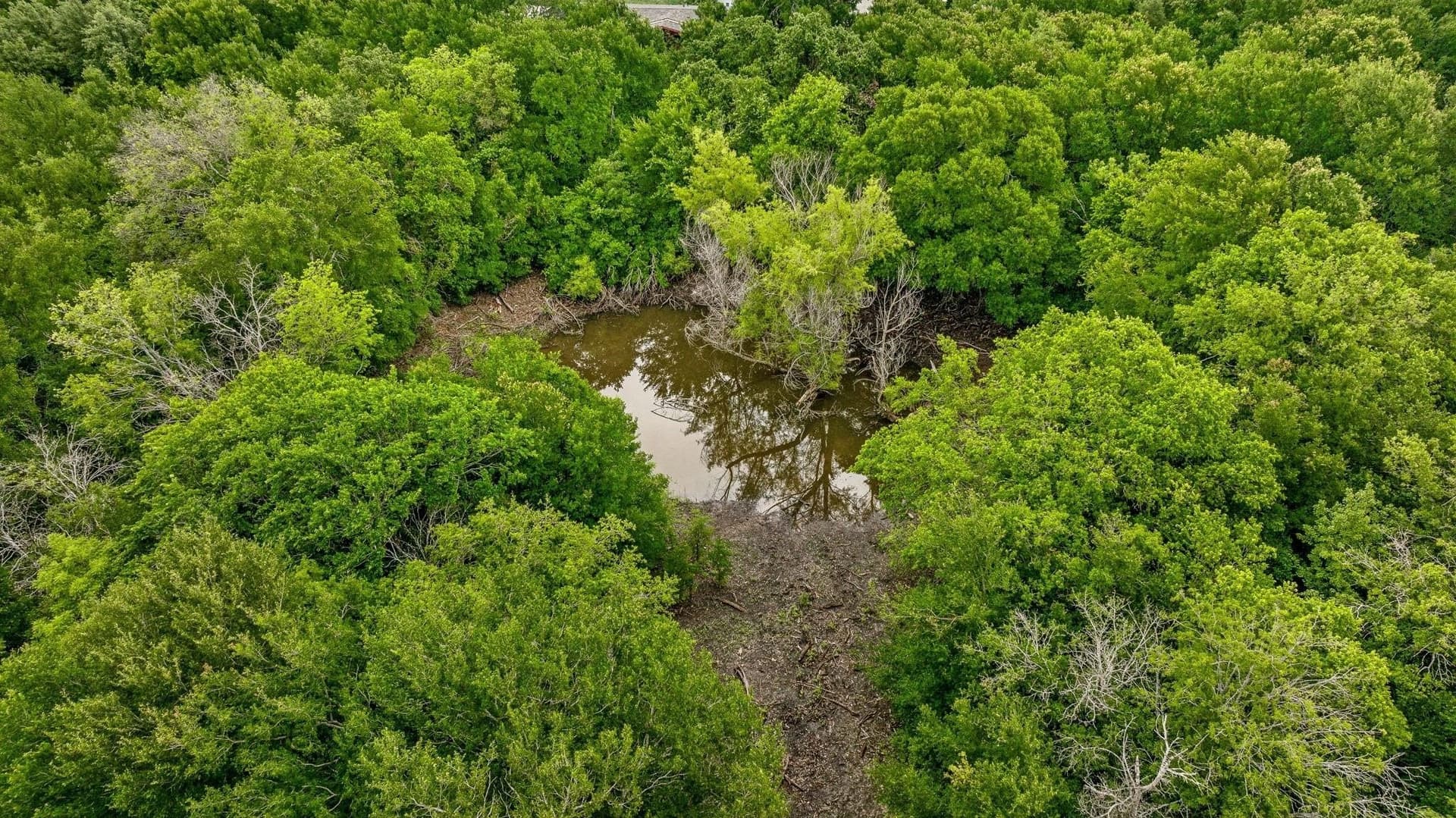 26.91 acres in Erath County - photo 19