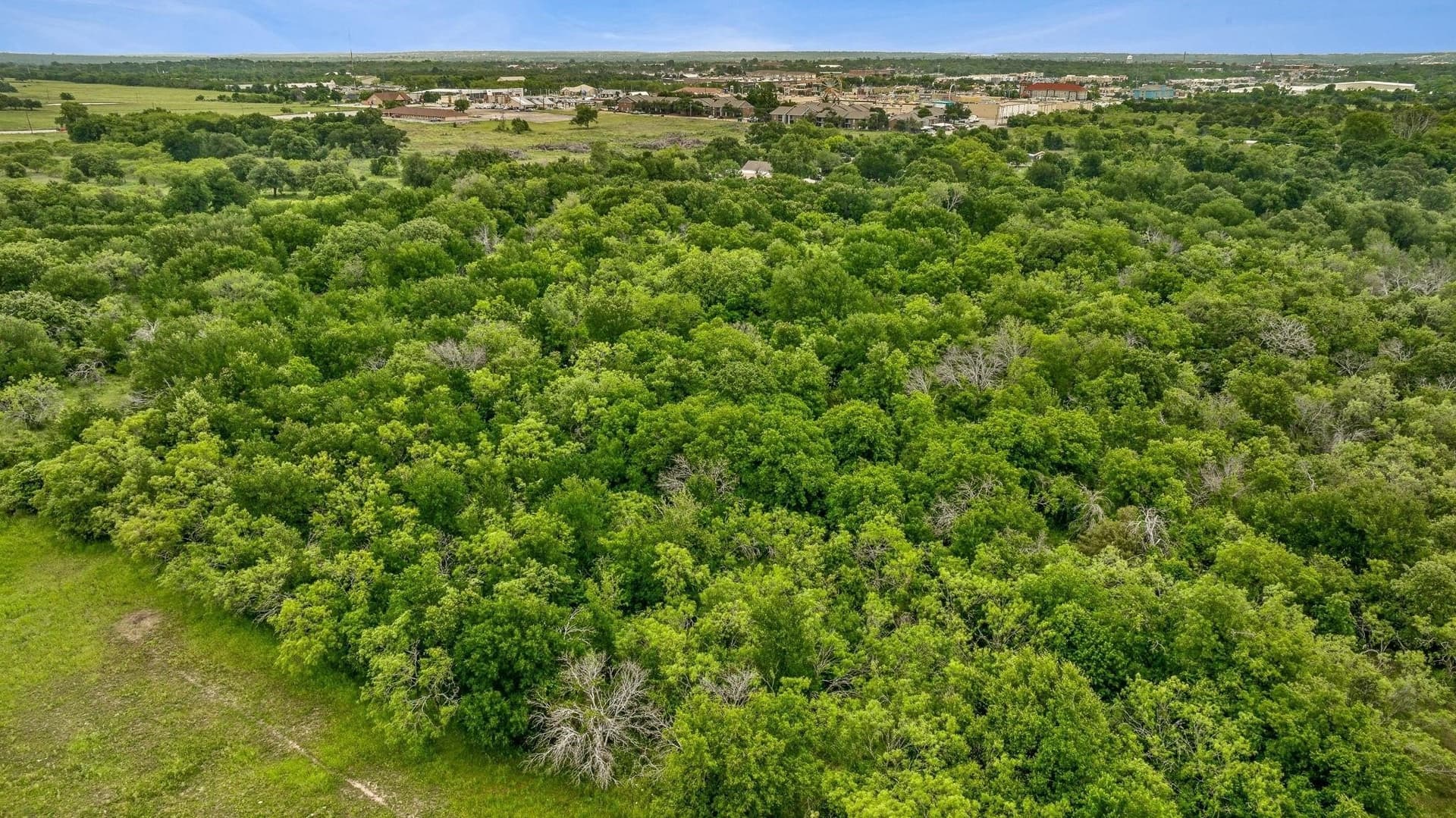 26.91 acres in Erath County - photo 17