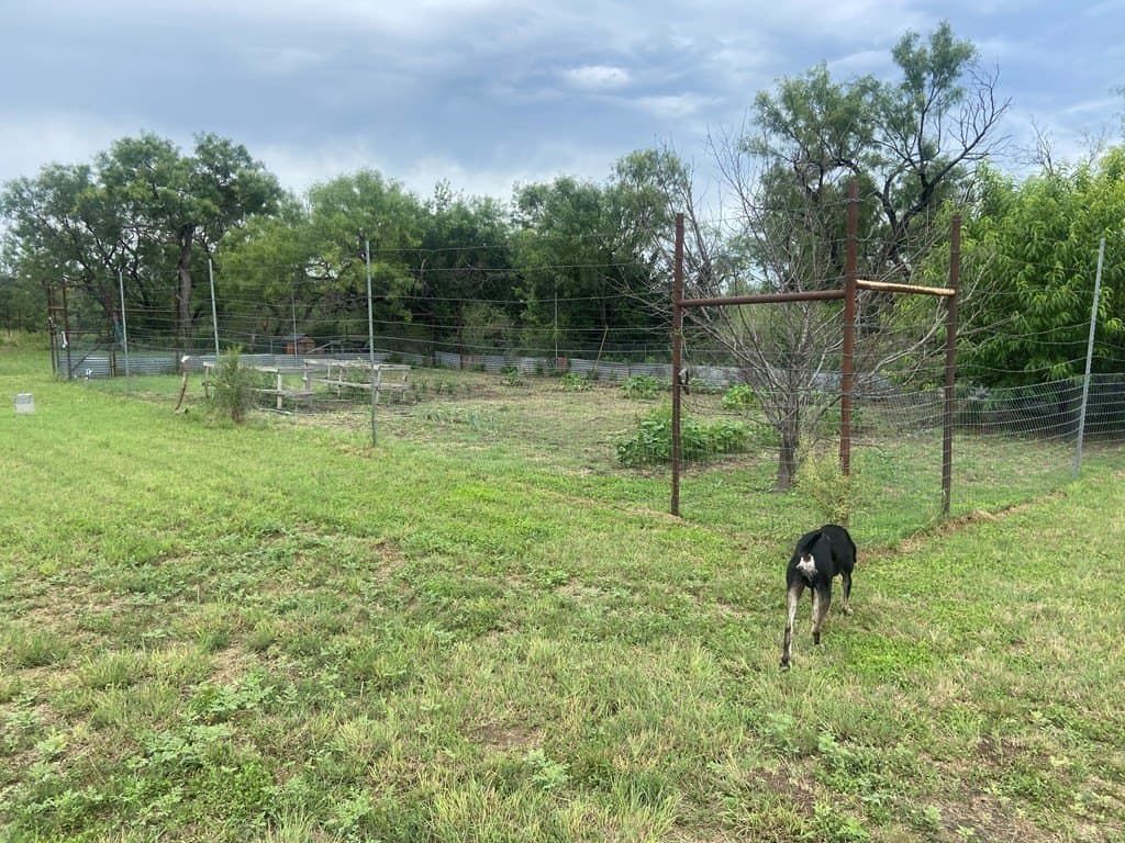 14.16 acres in Mason County - photo 10