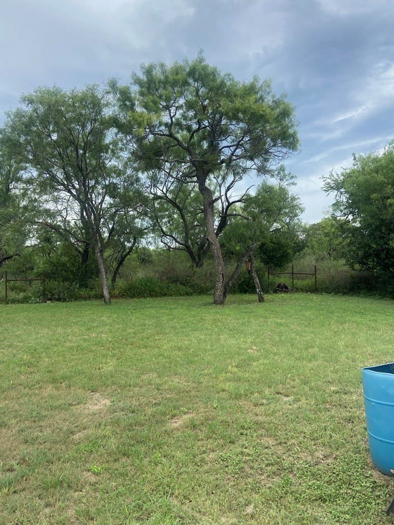 14.16 acres in Mason County - photo 8
