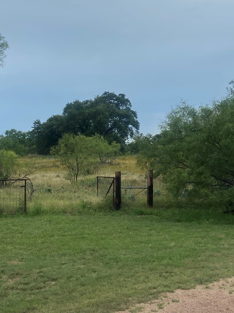 14.16 acres in Mason County - photo 7