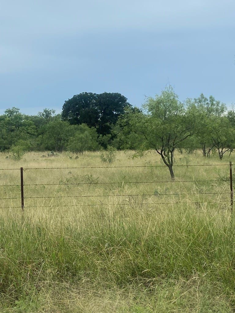 14.16 acres in Mason County - photo 6