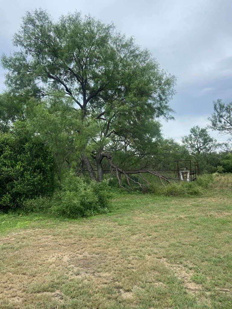 14.16 acres in Mason County - photo 9
